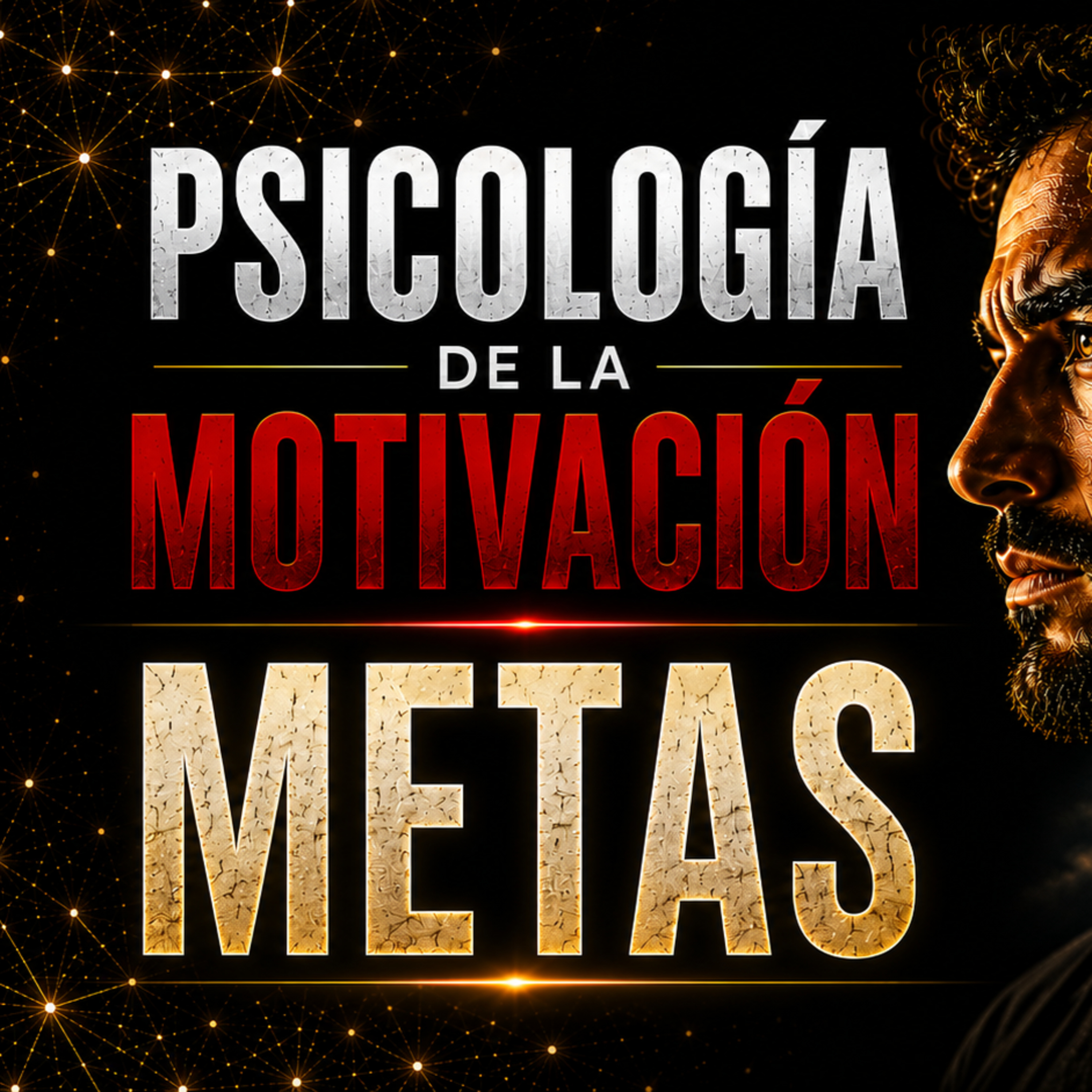 METAS El cerebro necesita objetivos - PSICOLOIGA MOTIVACIÓN episode artwork