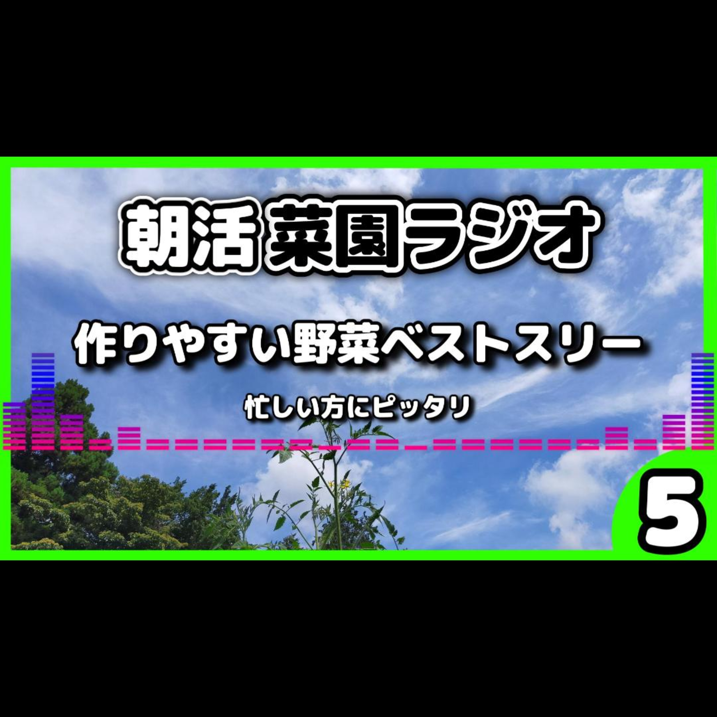 作りやすい野菜ベストスリー【サラリーマンの朝活菜園ラジオ】 episode artwork