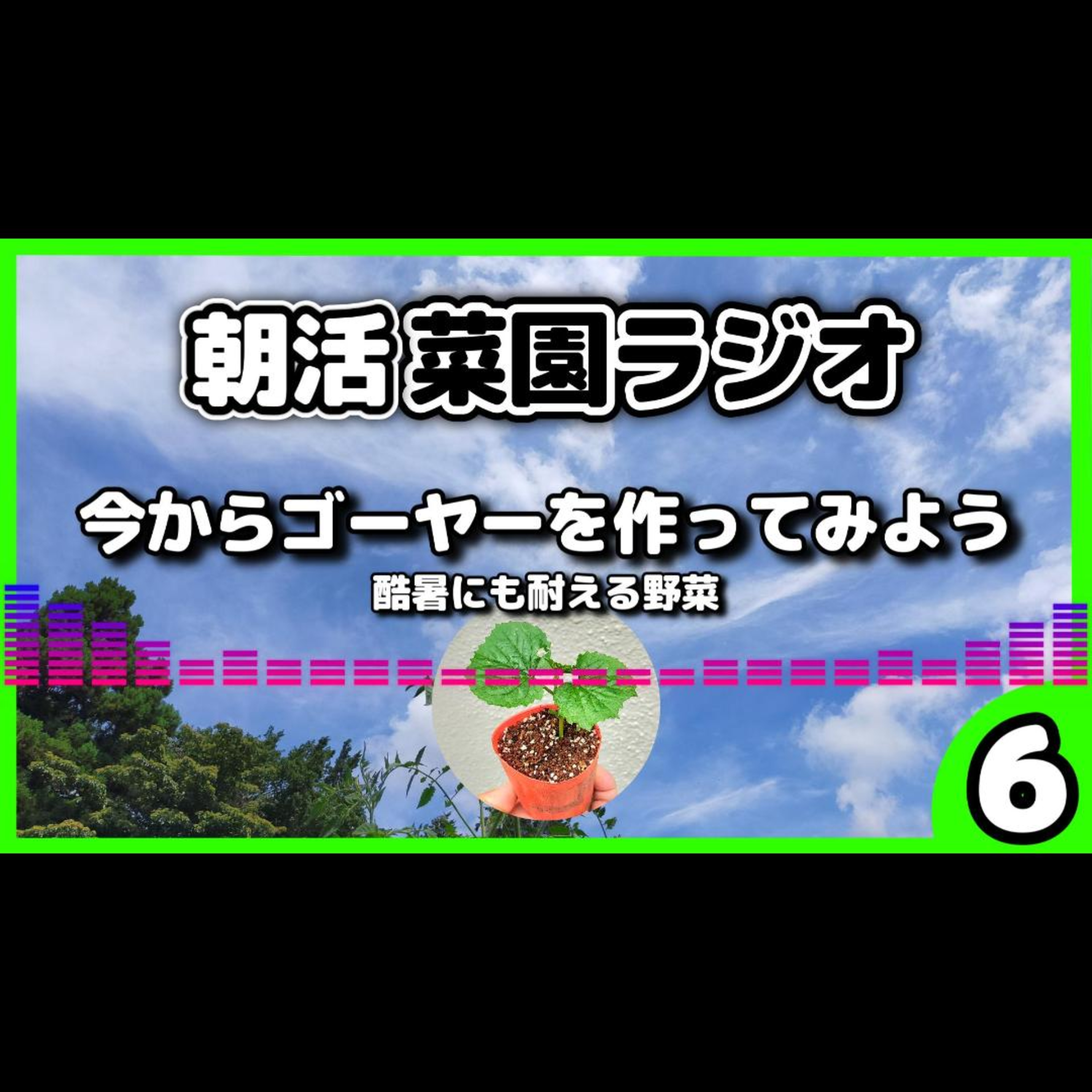 酷暑にはゴーヤーを育てよう【サラリーマンの朝活菜園ラジオ】 episode artwork
