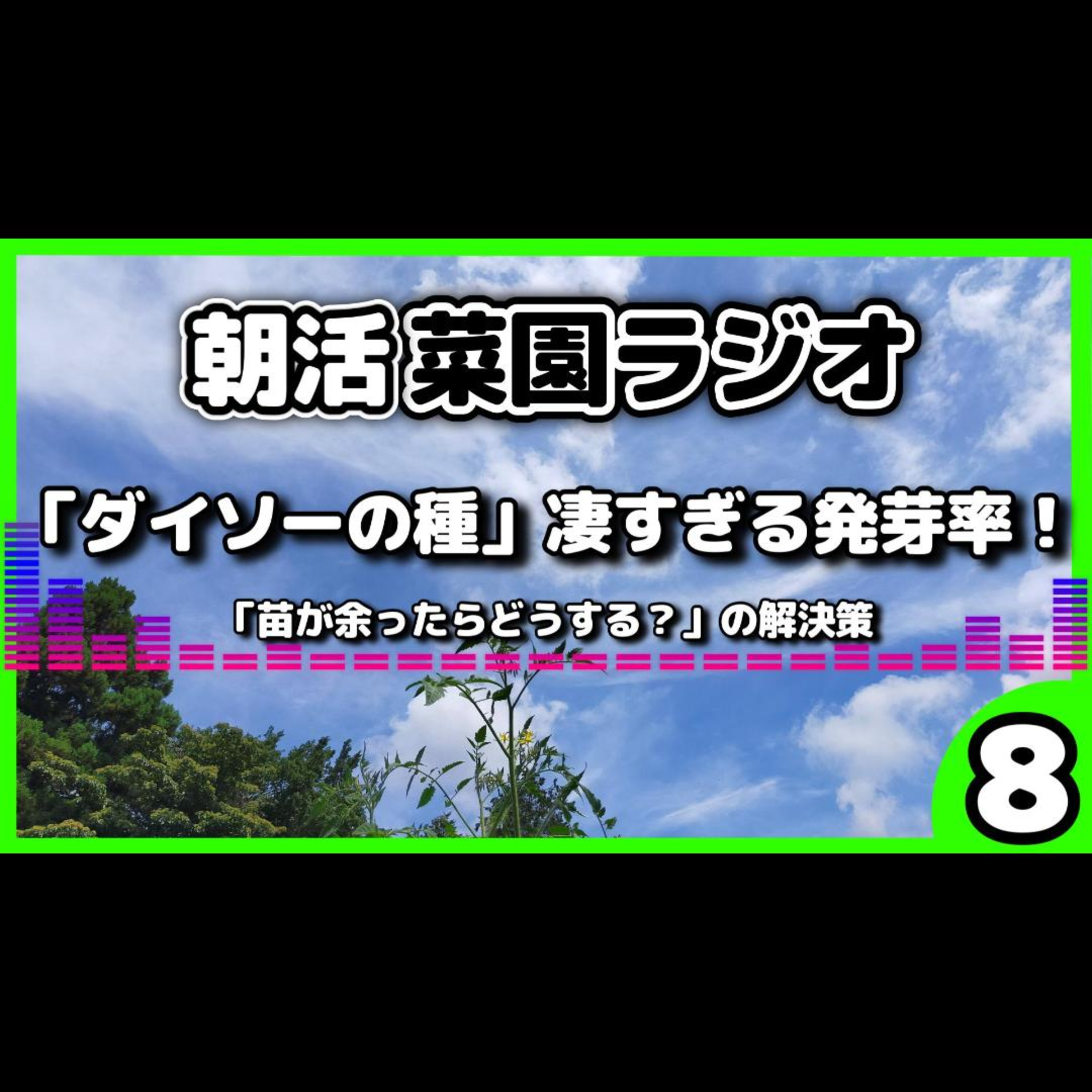 【ダイソーの種】30粒がほぼ発芽！家庭菜園ド素人さんからの嬉しい報告＆夏野菜を育てる「次のステップ」【朝活菜園ラジオ】 episode artwork