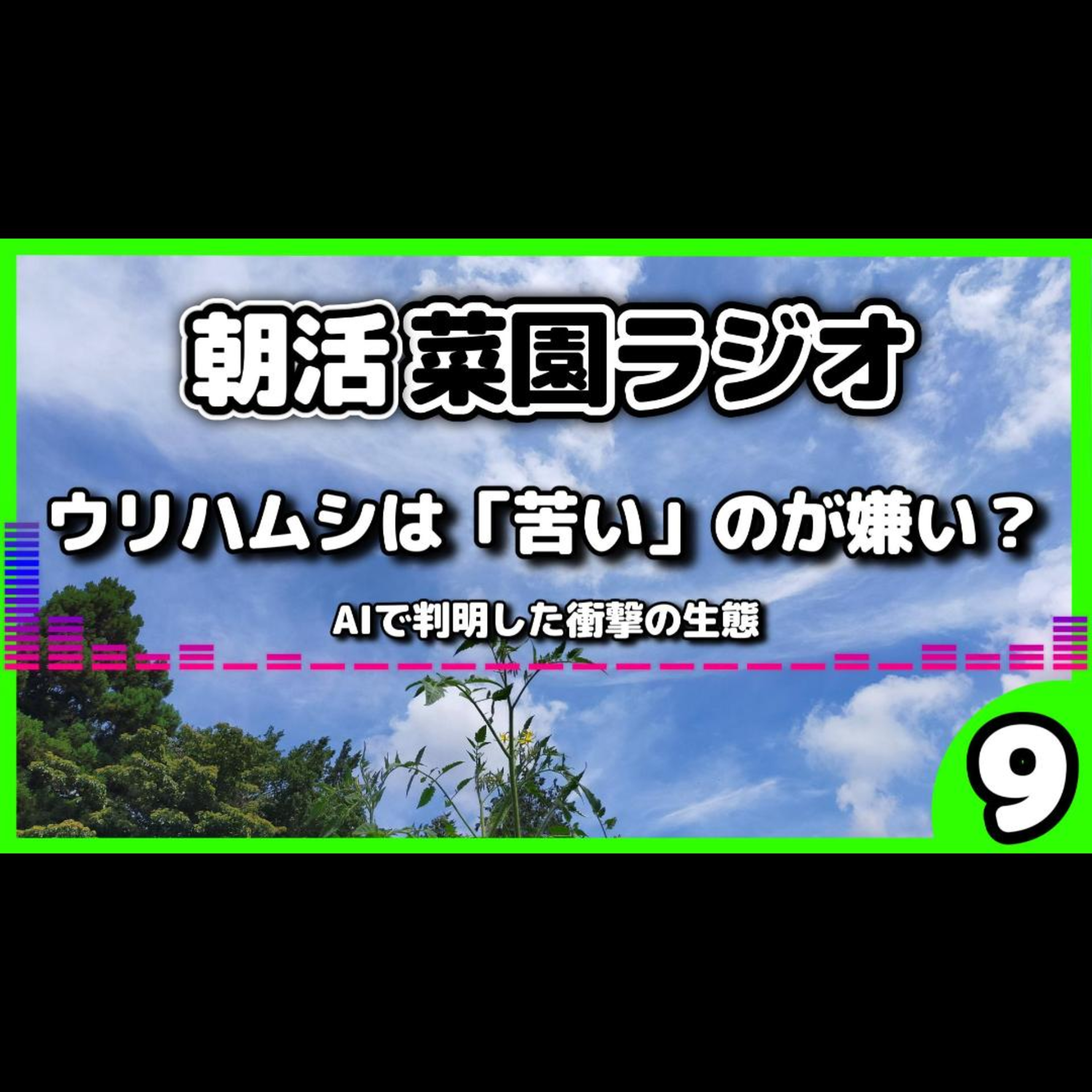 ウリハムシの秘密｜AIに聞いて分かった！葉っぱに「円」を描いて食べる驚きの理由と新対策の予告【朝活菜園ラジオ】 episode artwork