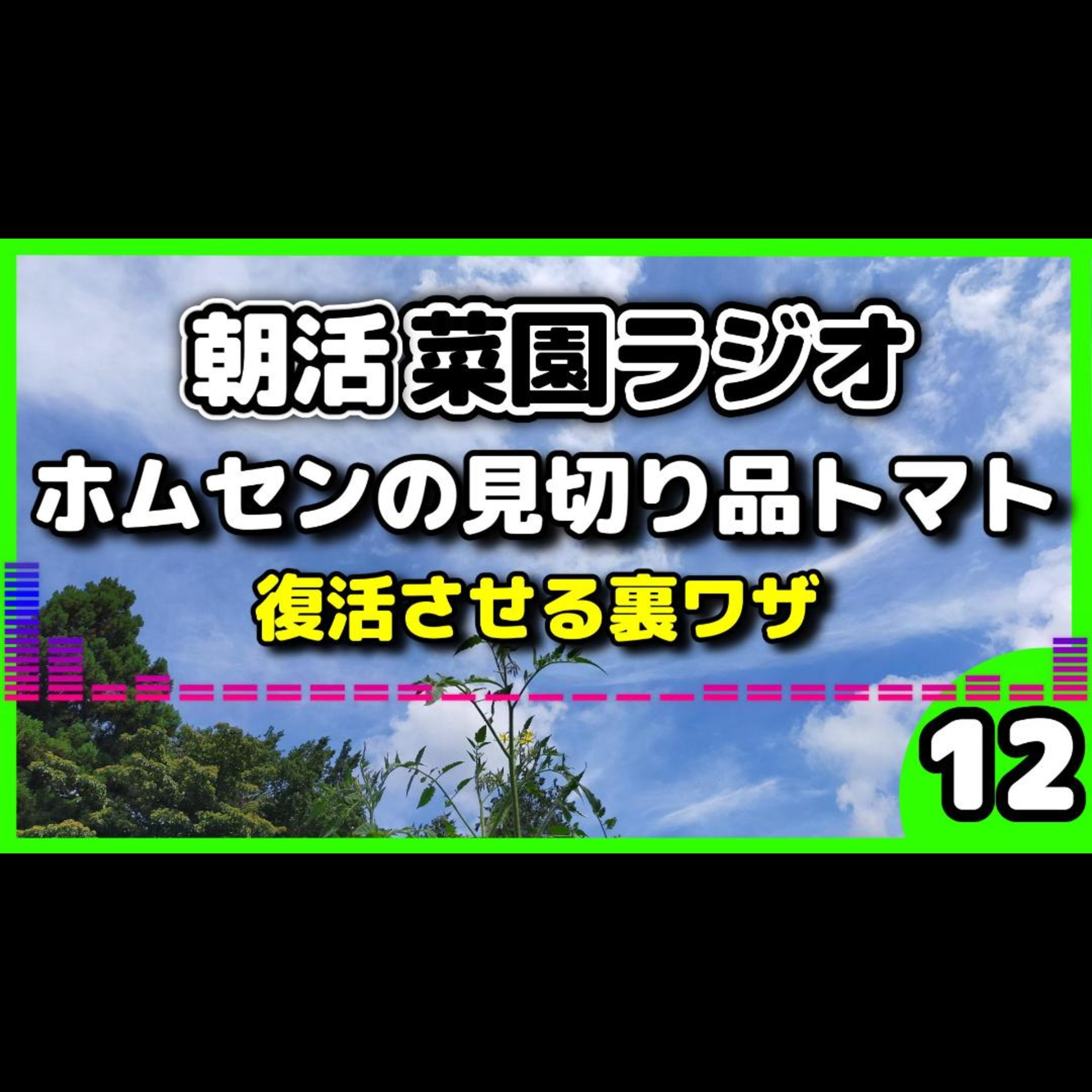 今からでも遅くない！ホームセンターの見切り品トマト苗を大復活させる裏ワザ【朝活菜園ラジオ】 episode artwork