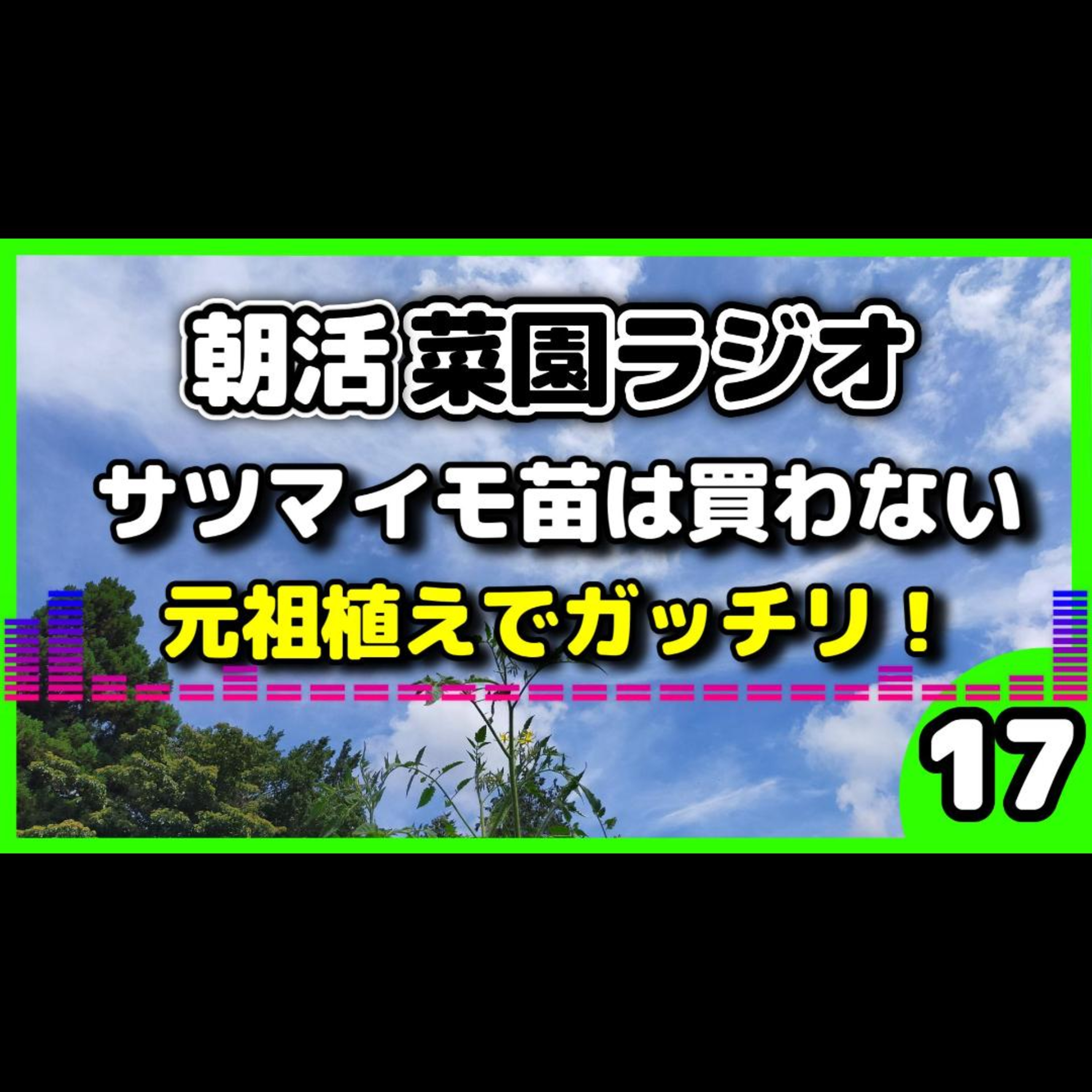 さつまいも苗は買うな。１０個収穫を目指す「元祖・芋ごと植え」【朝活菜園ラジオ】 episode artwork
