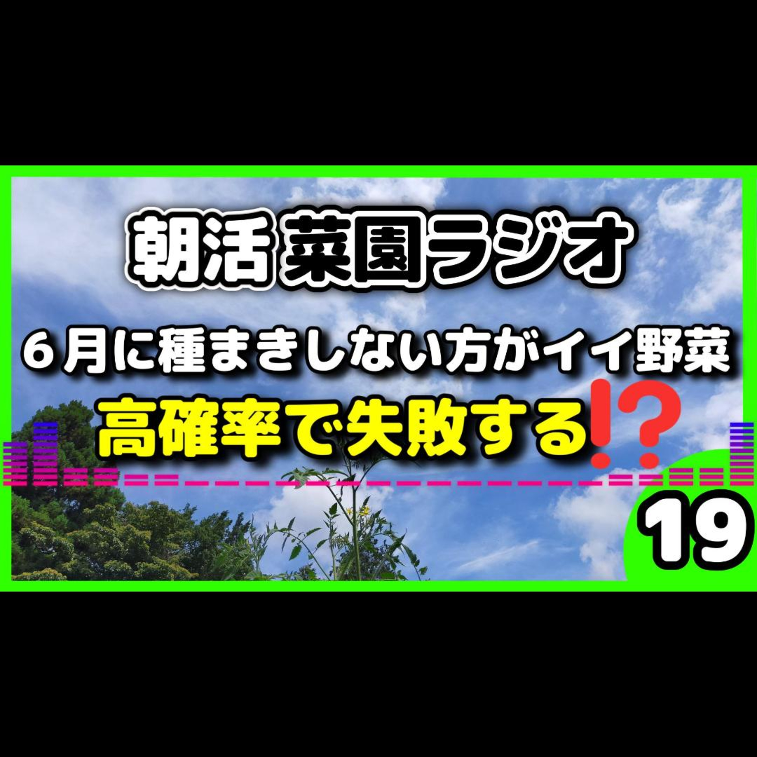 「6月に種まきして大失敗！？今植えるべき野菜・避けるべき野菜を徹底考察」【朝活菜園ラジオ】 episode artwork