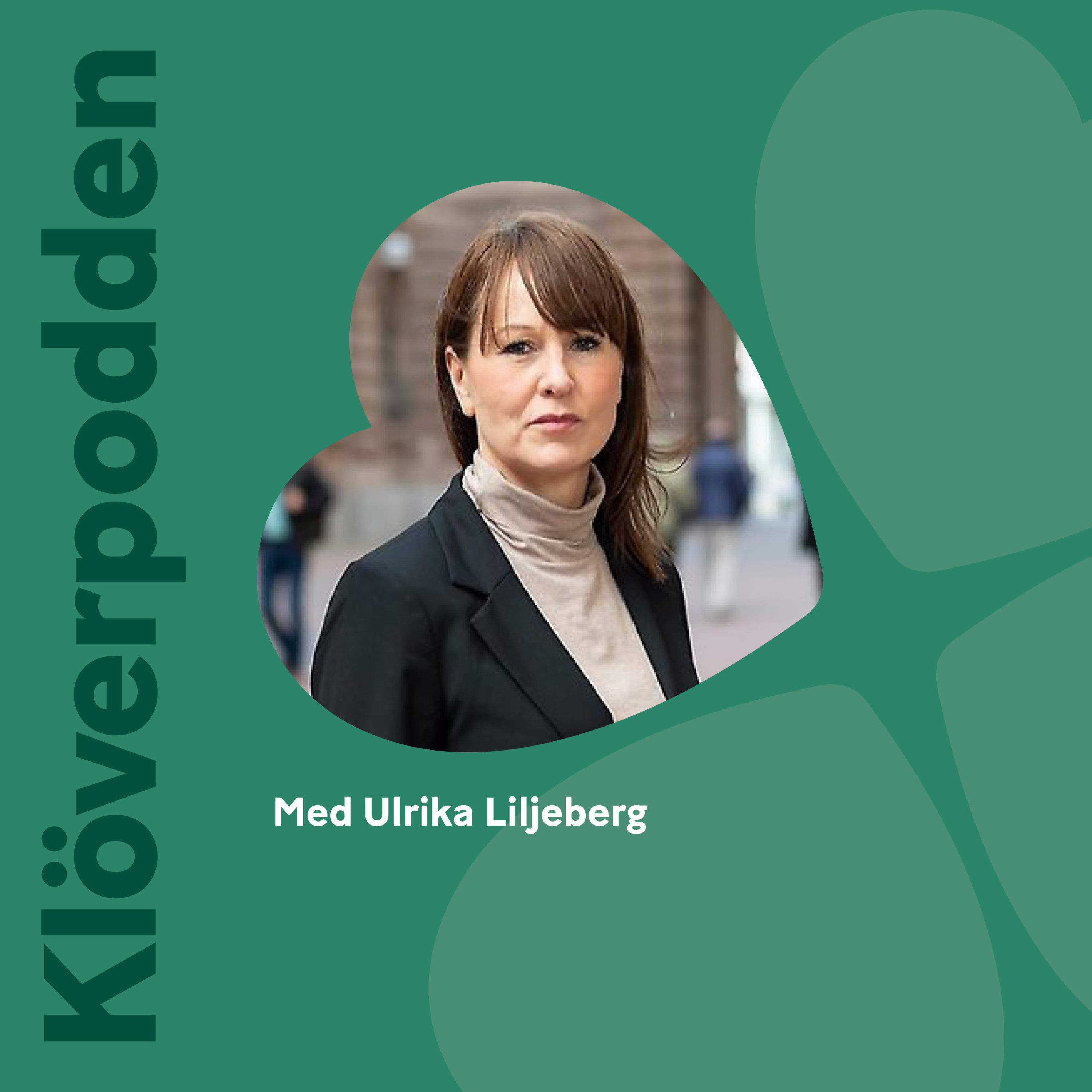 Trygghetspolitik med Ulrika Liljeberg episode artwork