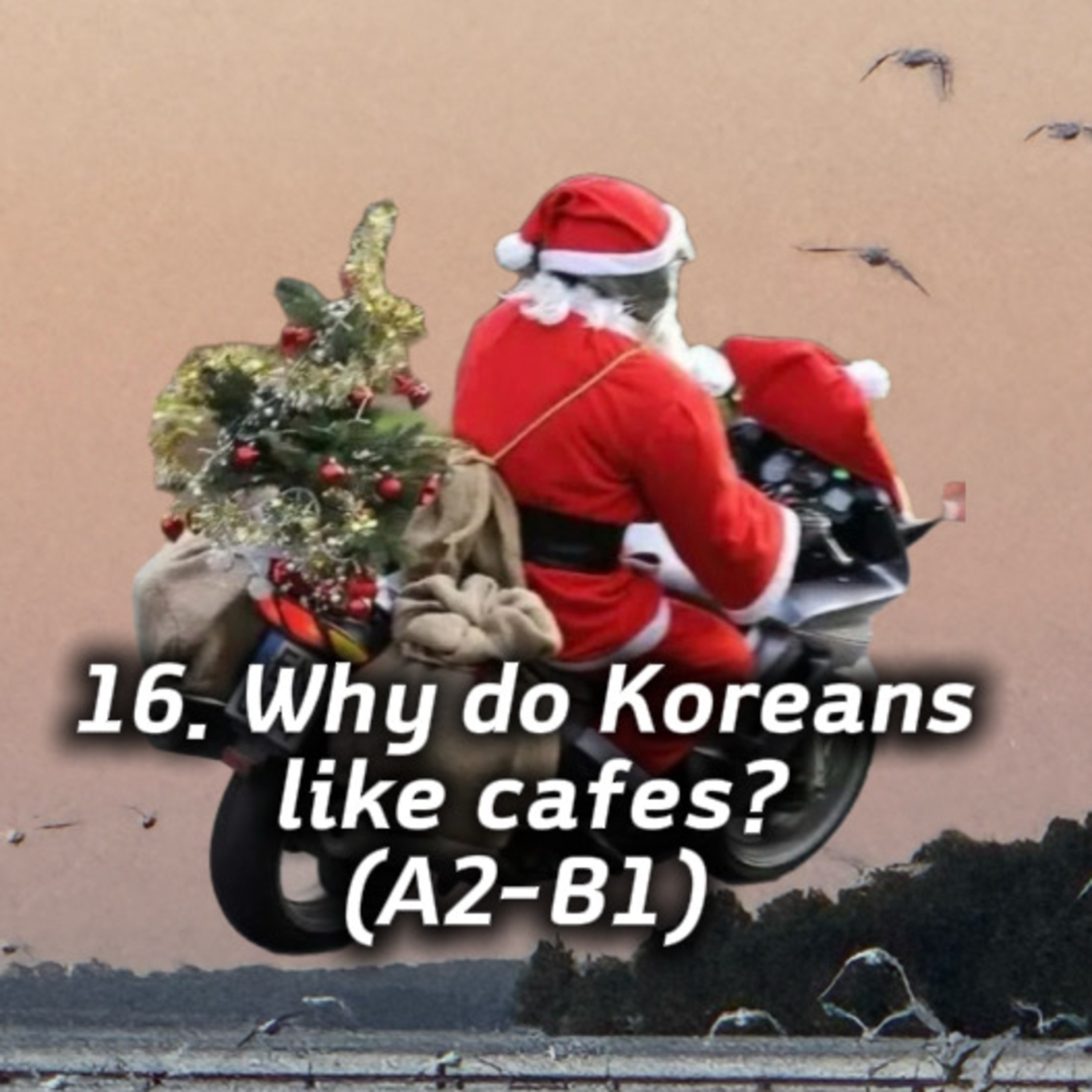 17. How fast is food delivery in Korea? (A2–B1) episode artwork