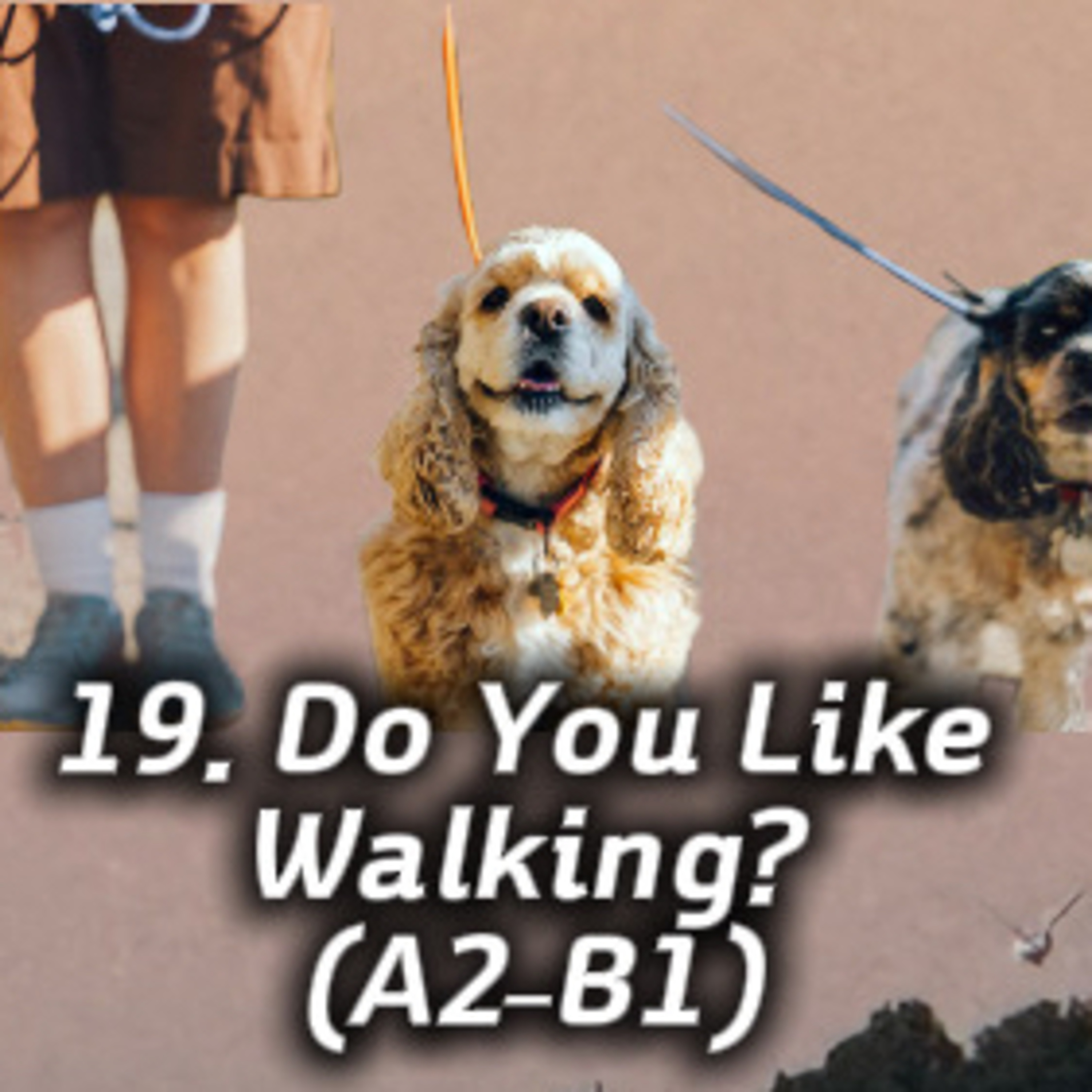 19. Do You Like Walking? (A2–B1) episode artwork