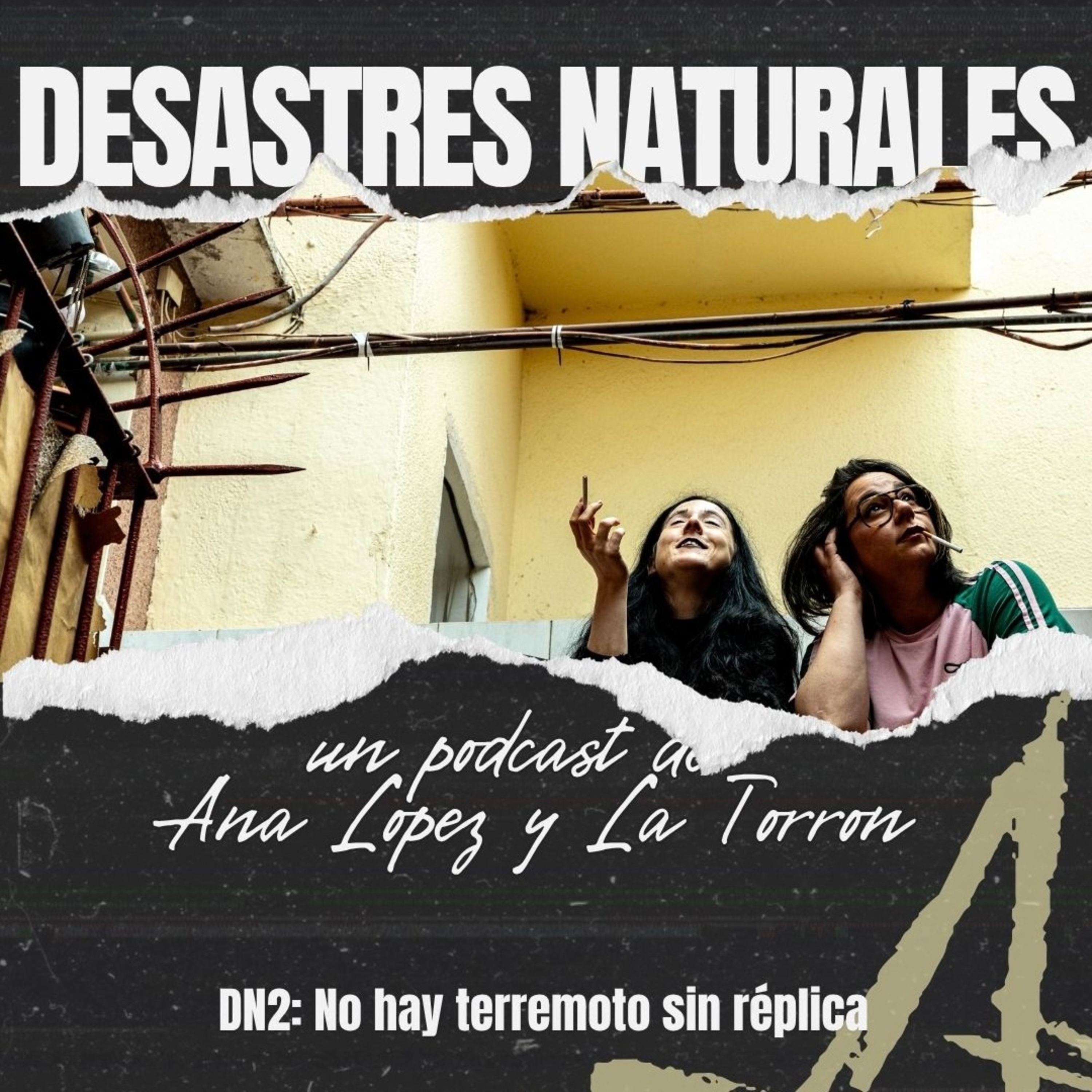Portada de DESASTRES NATURALES
