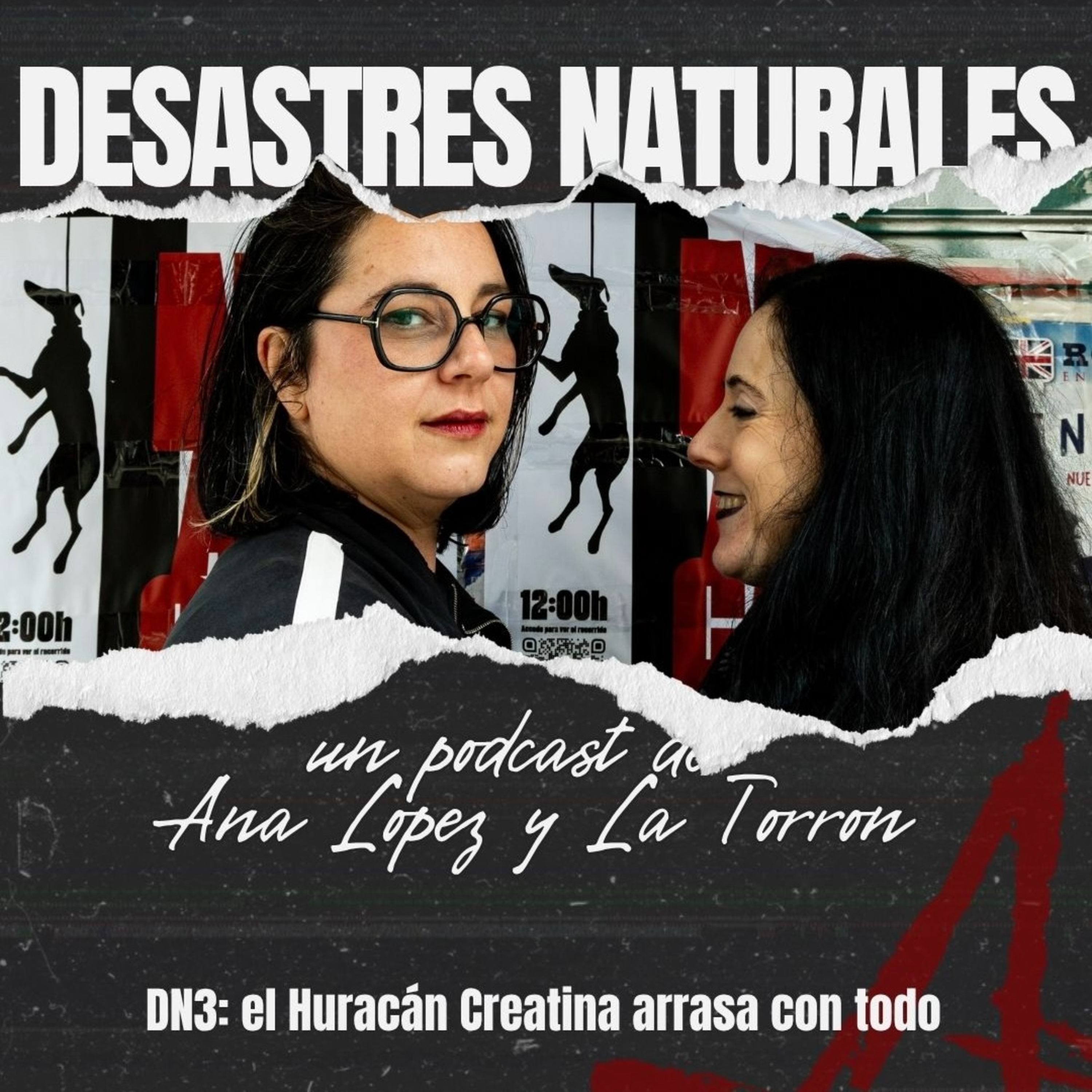 Portada de DESASTRES NATURALES