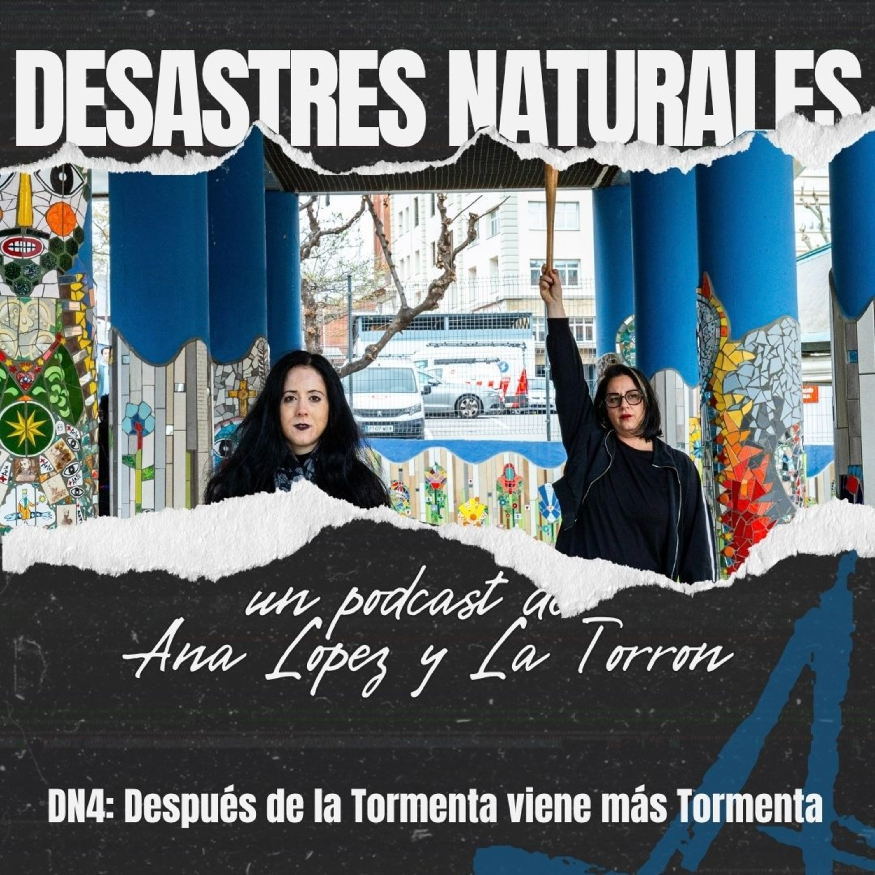 Portada de DESASTRES NATURALES