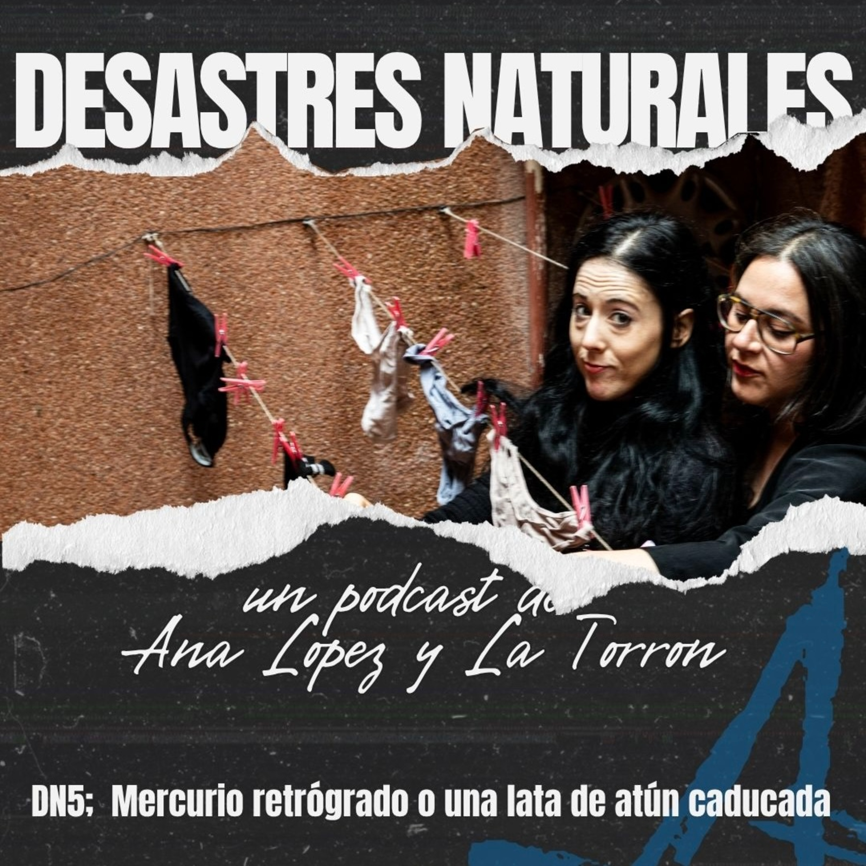 Portada de DESASTRES NATURALES