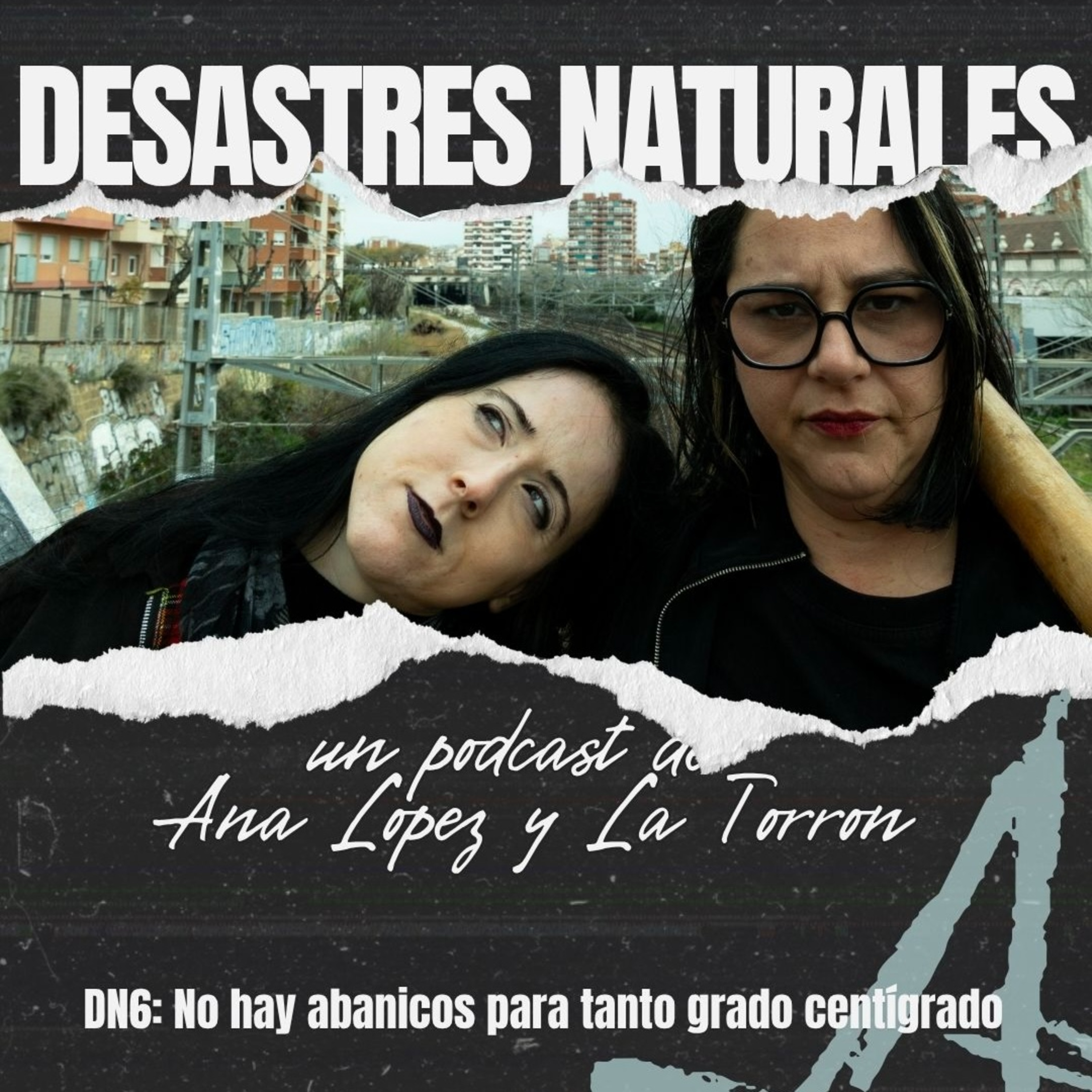 Portada de DESASTRES NATURALES