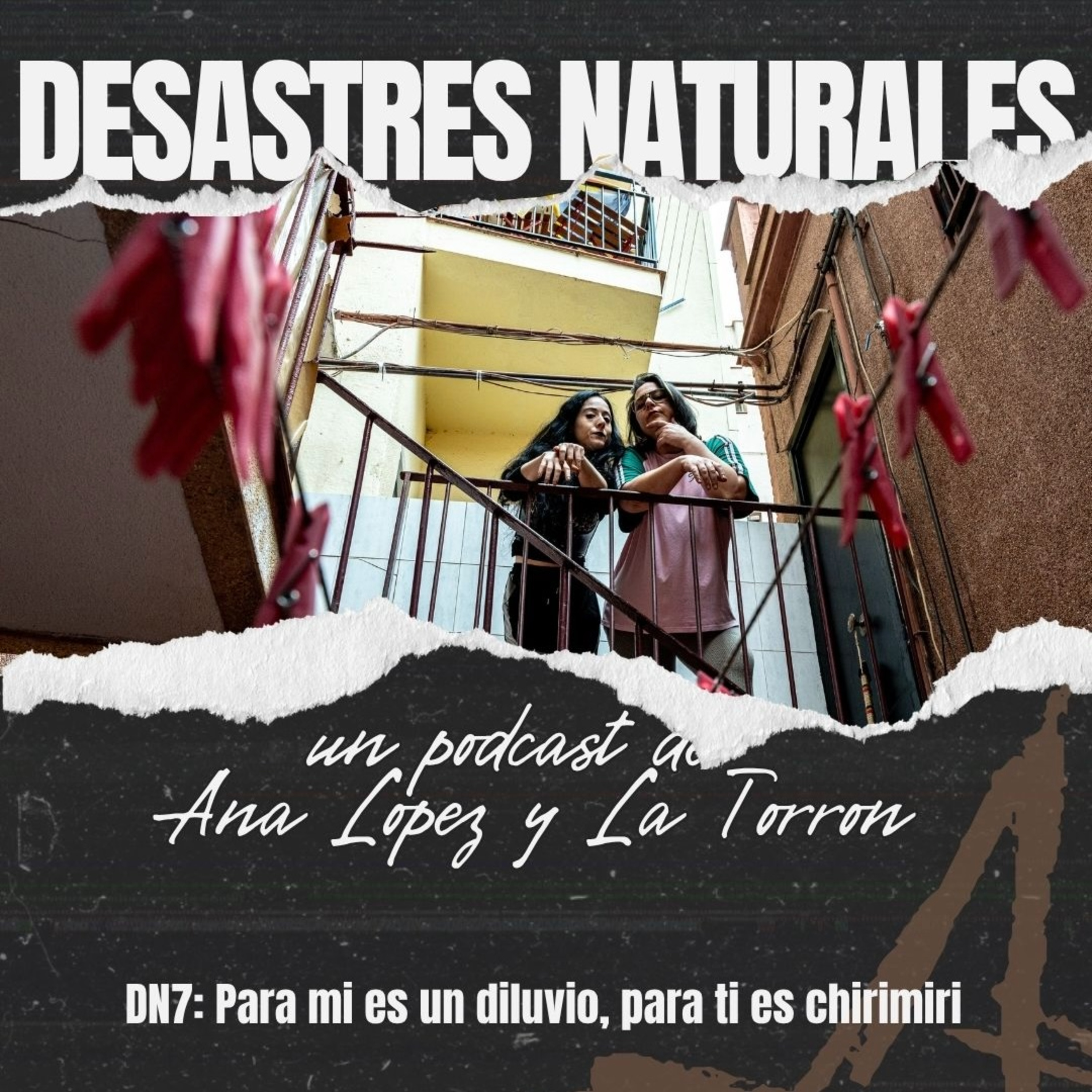 Portada de DESASTRES NATURALES