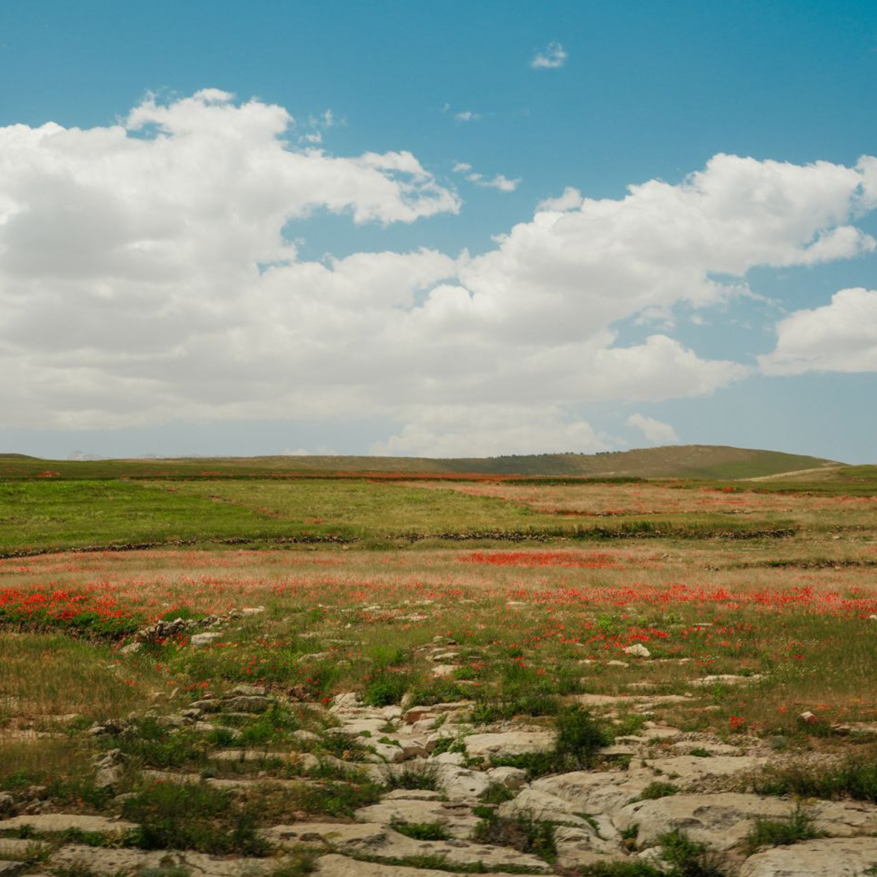 Le Maroc au-delà des clichés episode artwork