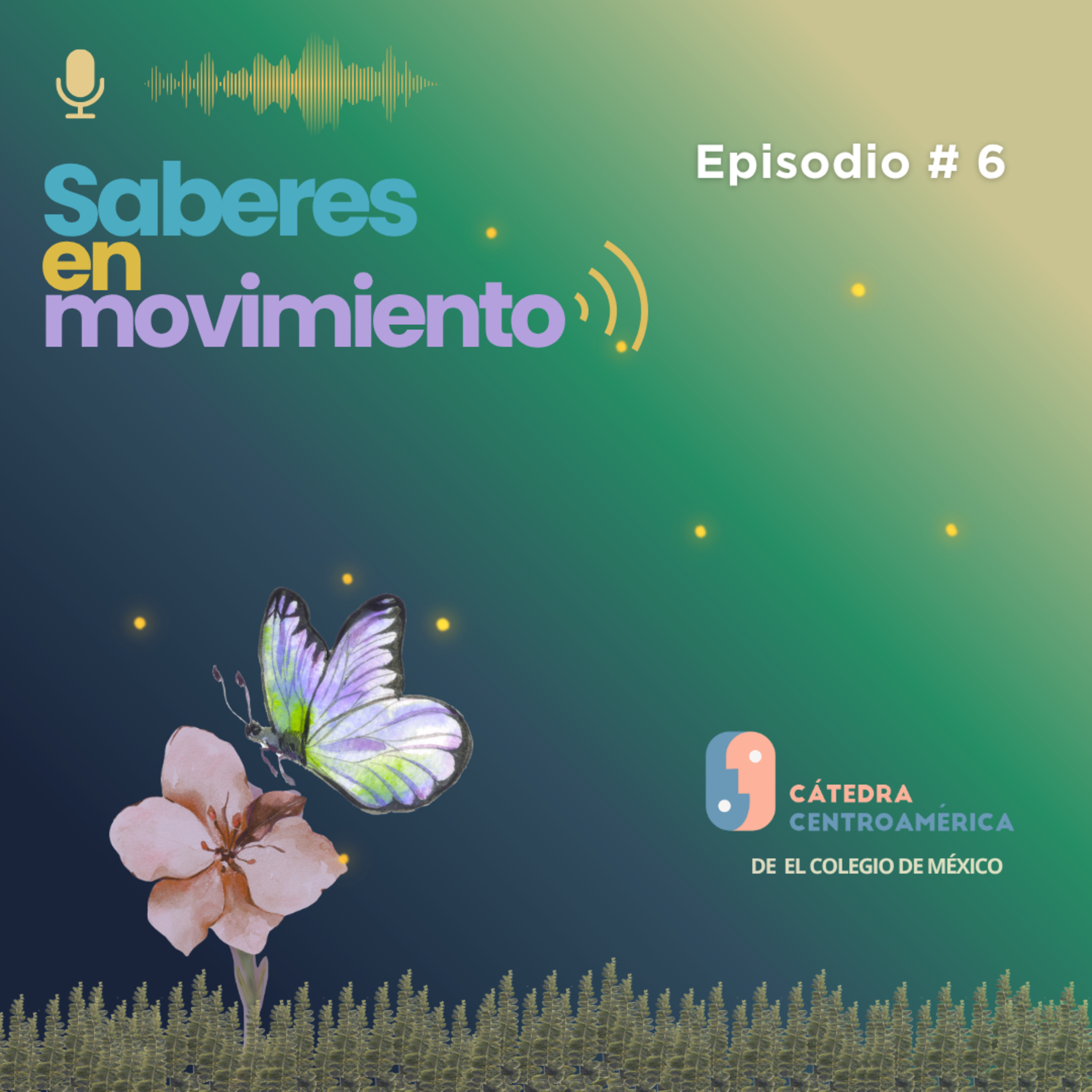 Portada de Saberes en Movimiento