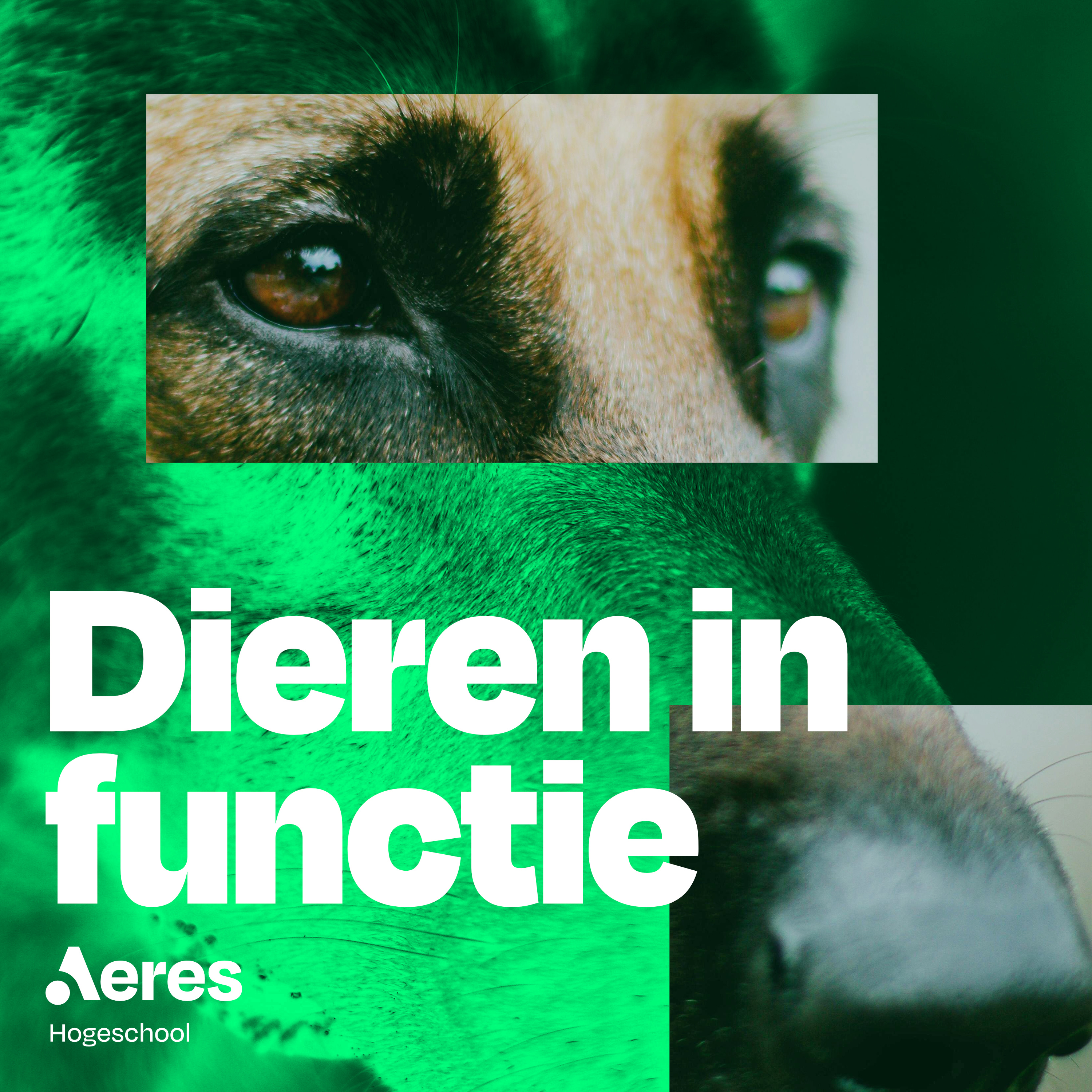 Wat vinden dieren in functie van hun arbeidsvoorwaarden? episode artwork