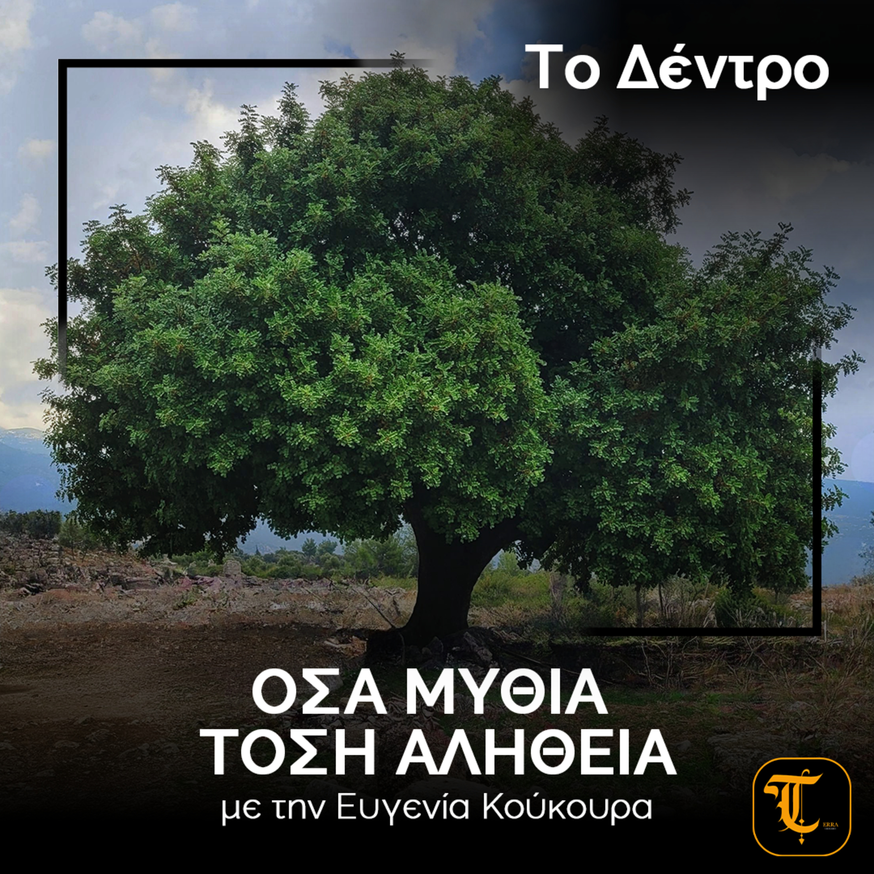 Όσα Μύθια, Τόση Αλήθεια – Το Δέντρο: Από το ιερό σύμβολο στο χριστουγεννιάτικο έλατο