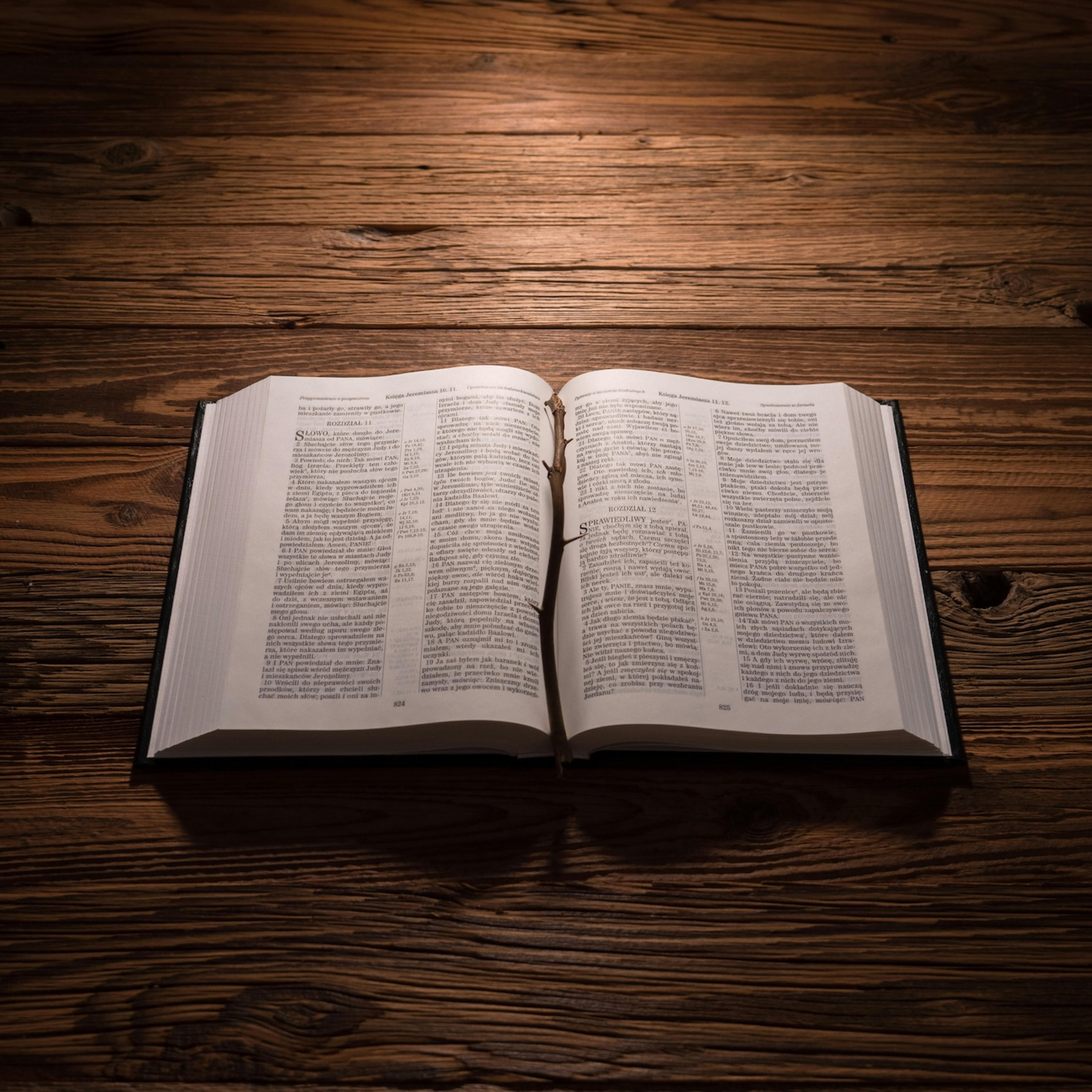 Gospel Roundtable: Common Misconceptions About the Bible episode artwork