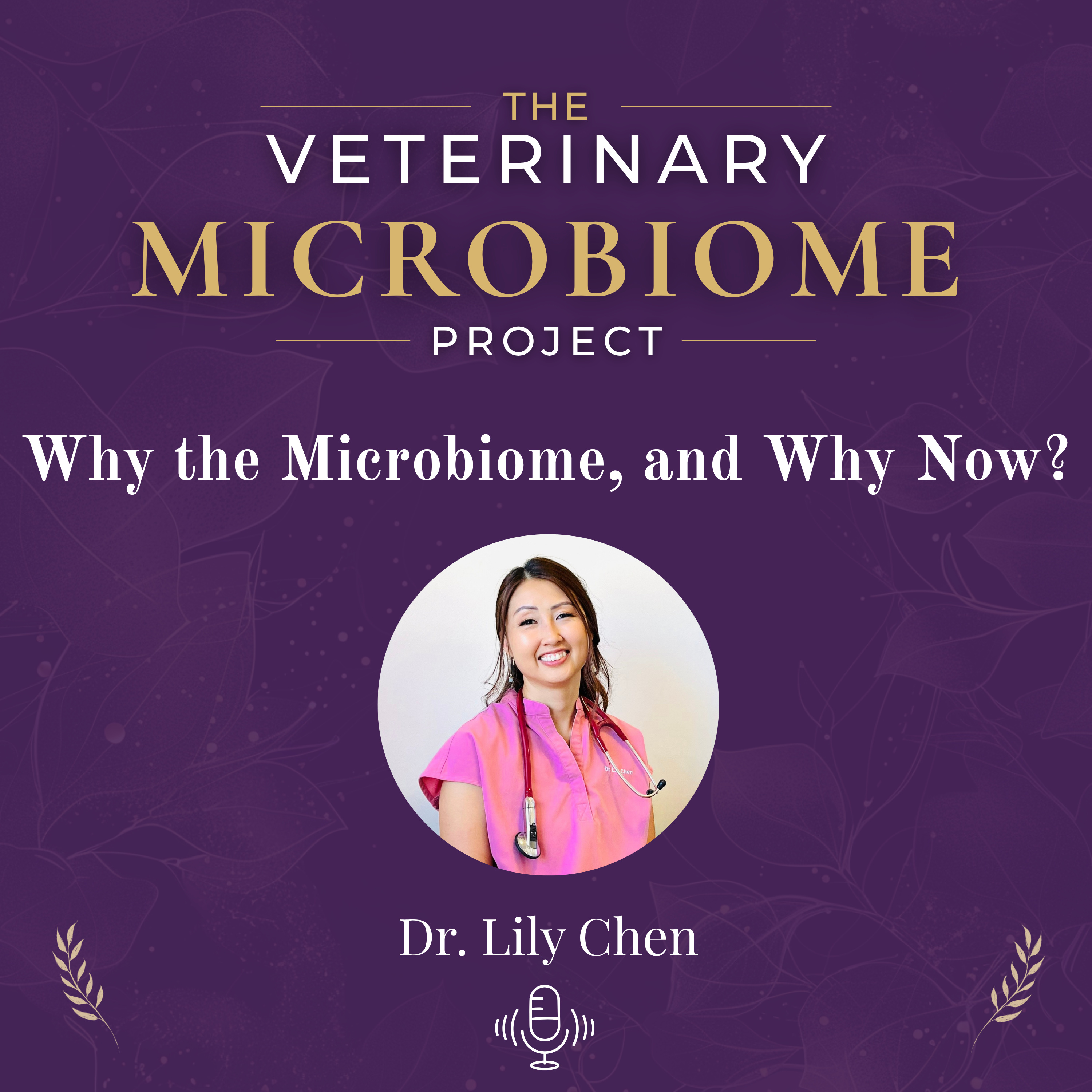 Why the Microbiome, and Why Now? w/Dr. Lily Chen episode artwork