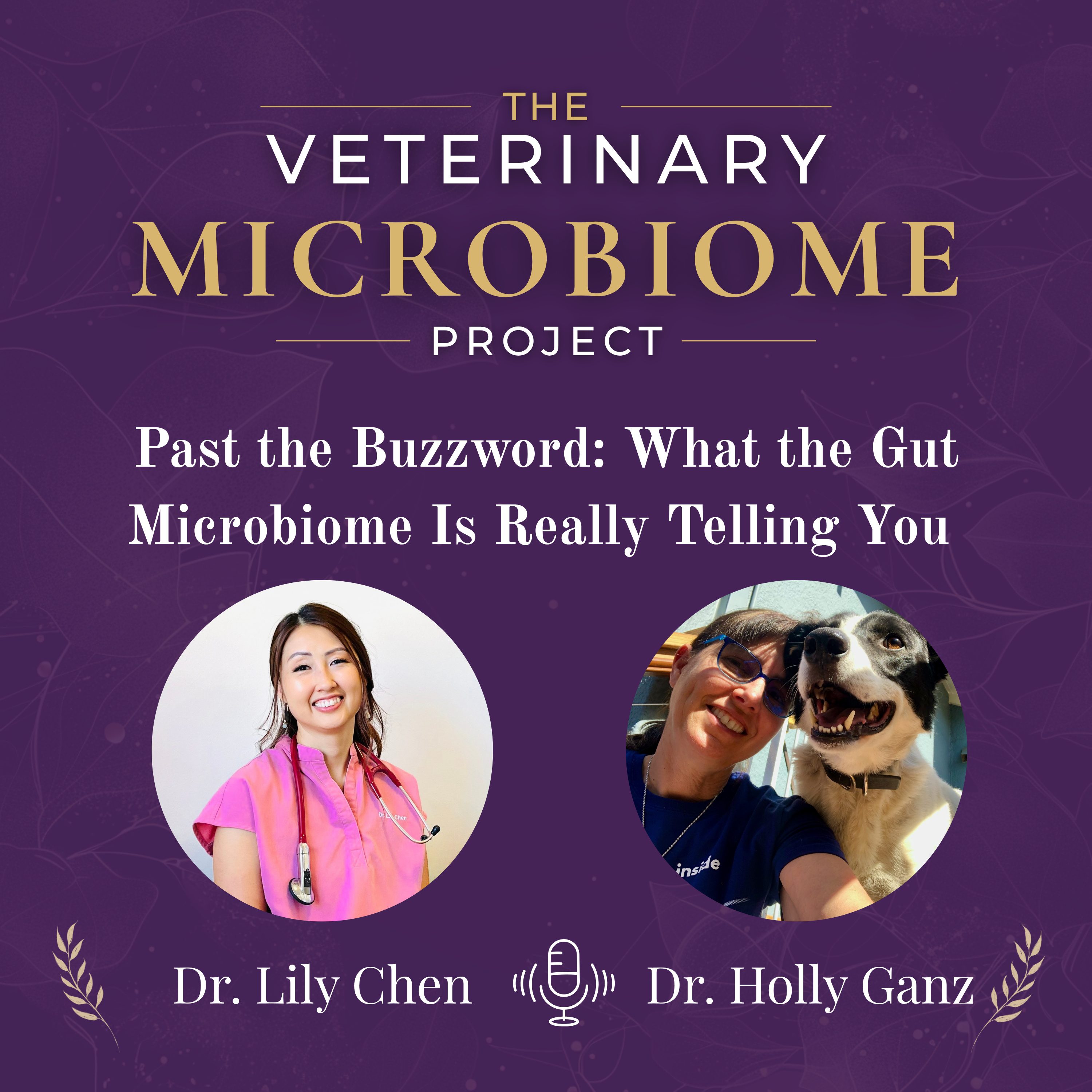 Past the Buzzword: What the Gut Microbiome Is Really Telling You — Dr. Holly Ganz, AnimalBiome episode artwork