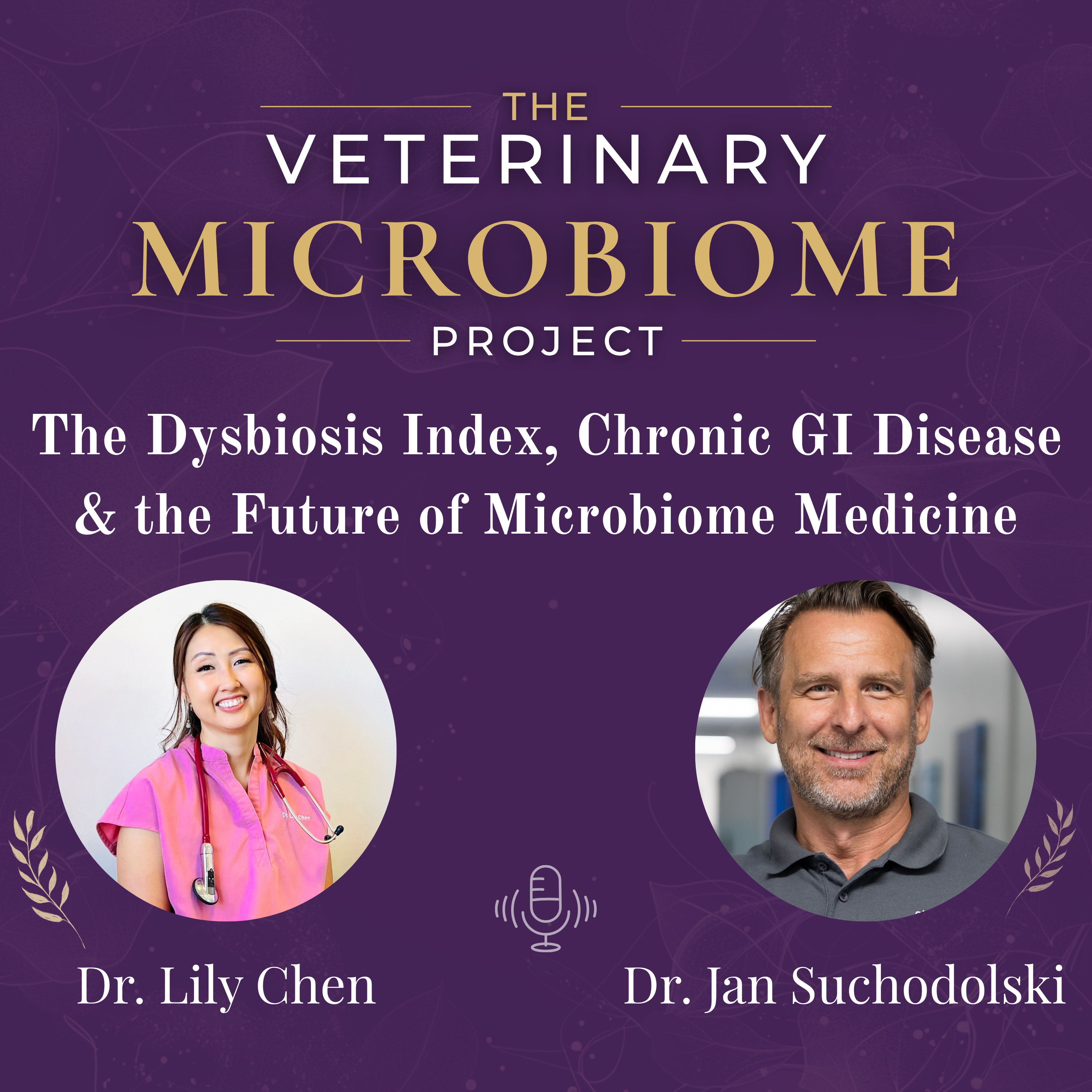 The Dysbiosis Index, Chronic GI Disease & the Future of Microbiome Medicine with Dr. Jan Suchodolski episode artwork