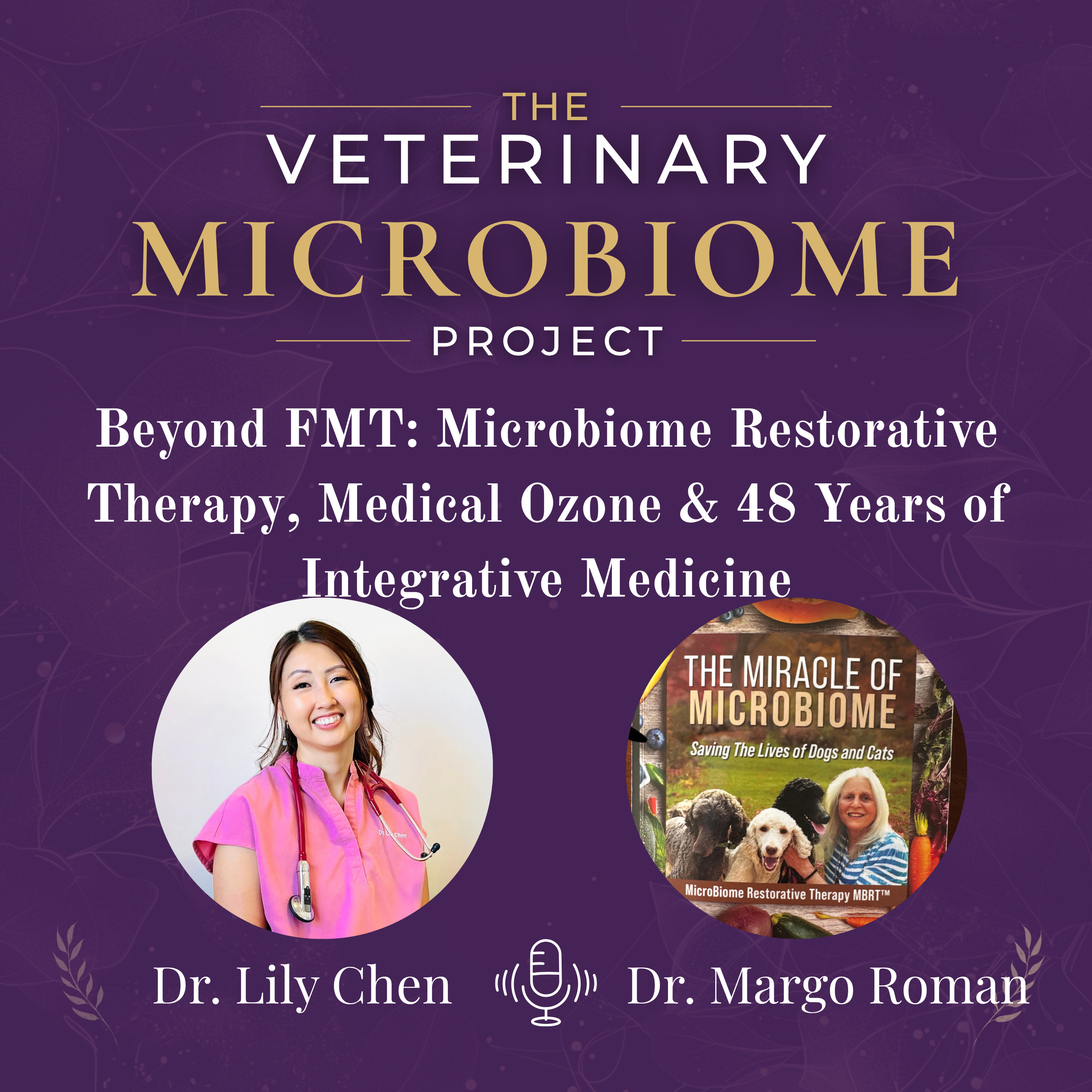 Beyond FMT: Microbiome Restorative Therapy, Medical Ozone & 48 Years of Integrative Medicine with Dr. Margo Roman episode artwork
