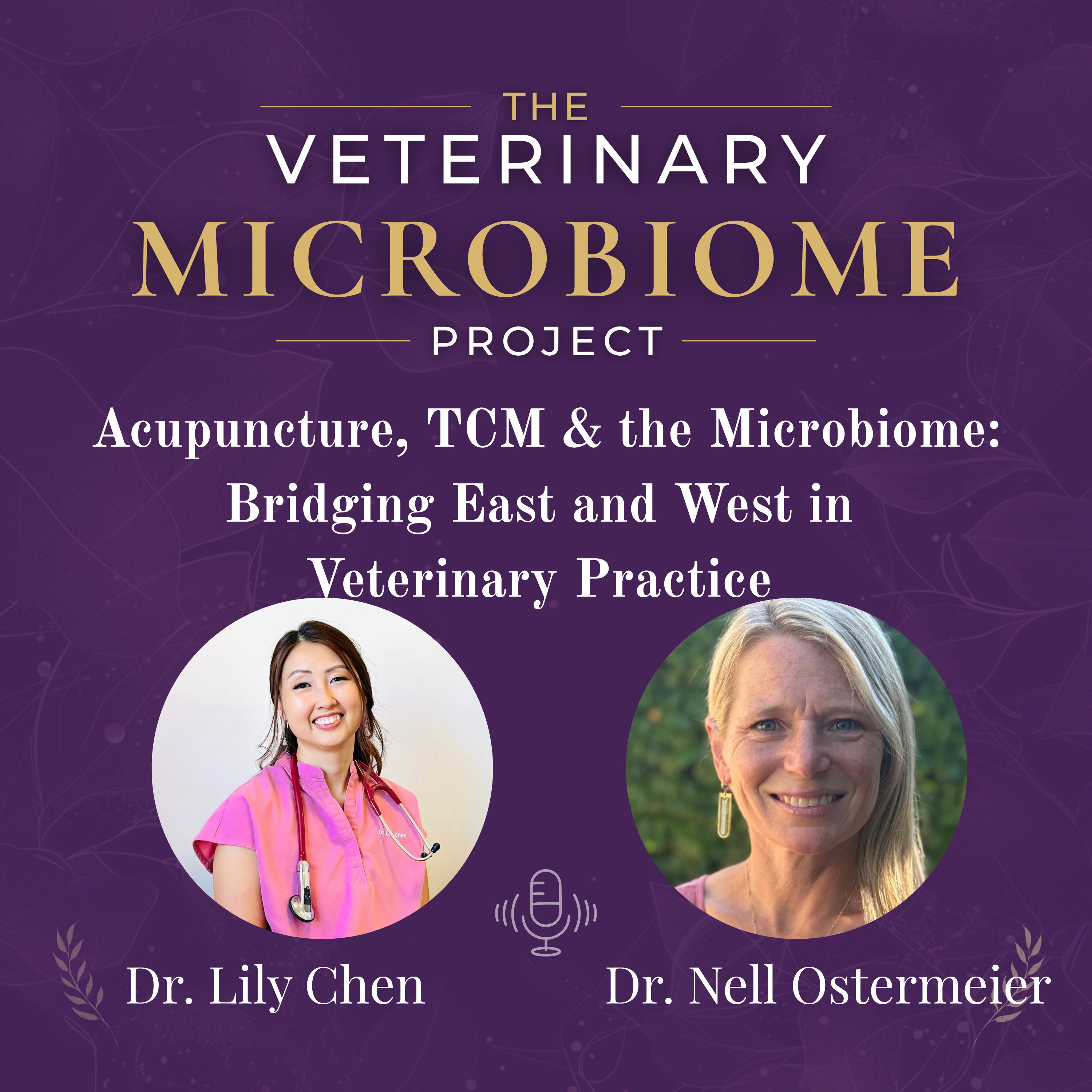 Acupuncture, TCVM & the Microbiome: Bridging East and West in Veterinary Practice with Dr. Nell Ostermeier episode artwork