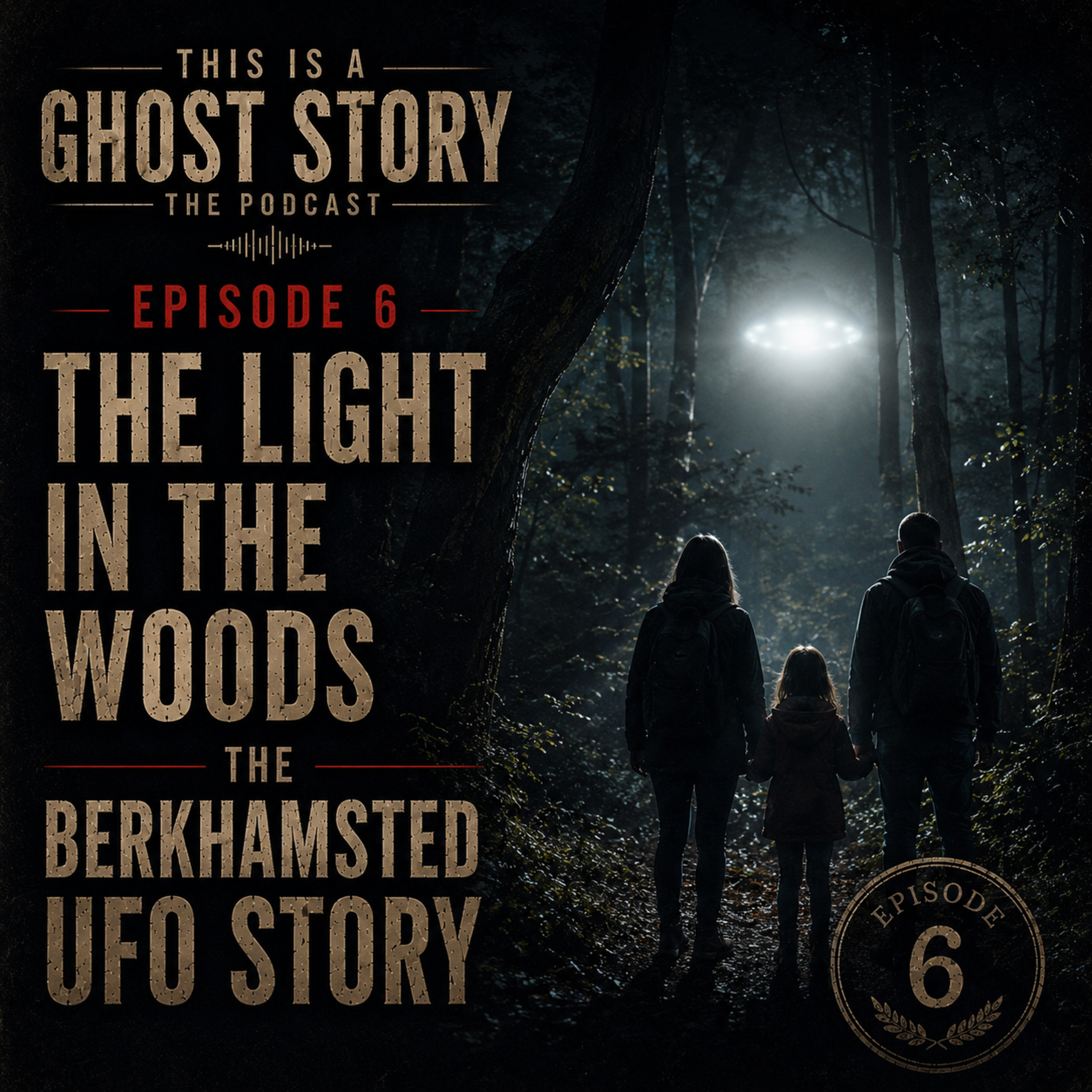 Episode 6 - The Light In The Woods: The Berkhamsted UFO Story episode artwork