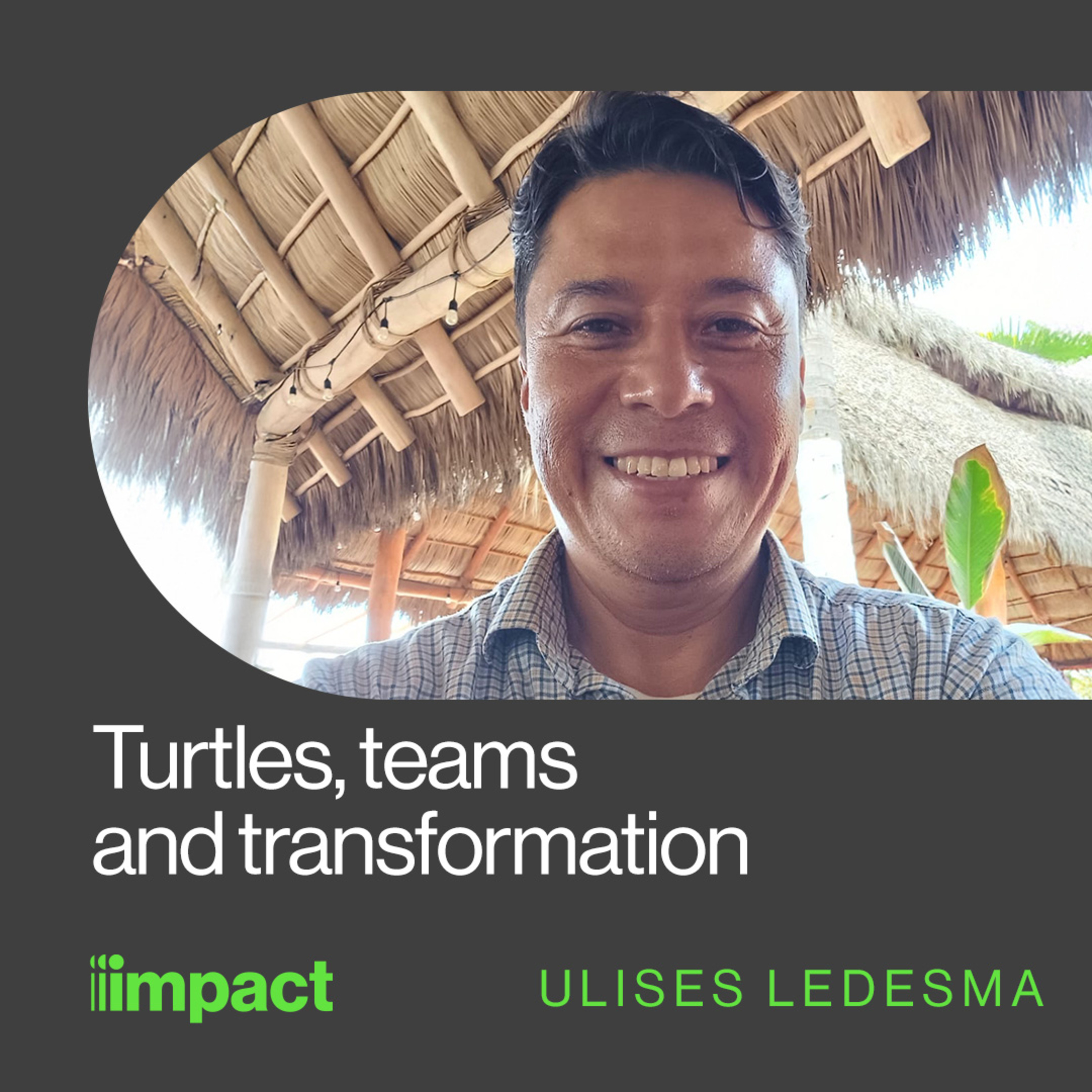 058: Turtles, teams and transformation - In Good Company with Ulises Ledesma