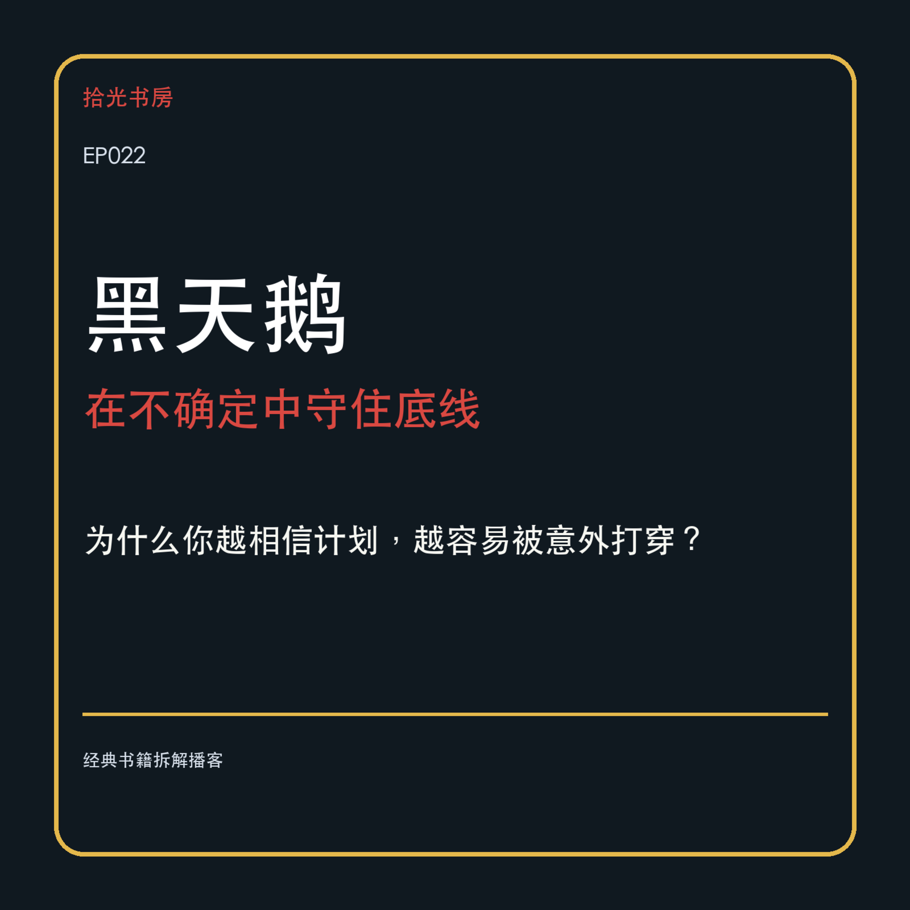 # EP022｜《黑天鹅》：为什么你越相信计划，越容易被意外打穿？ episode artwork