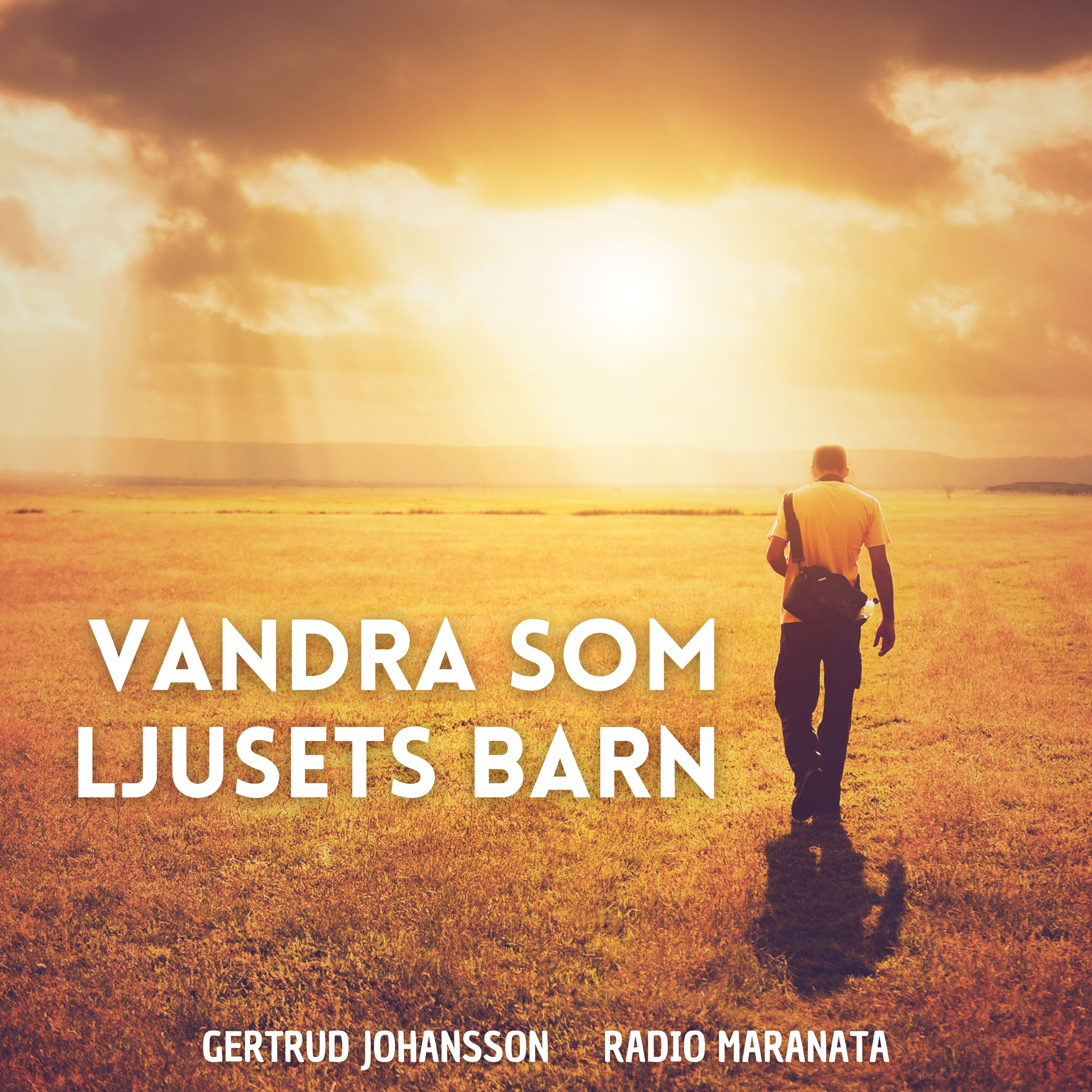 Vandra som ljusets barn | Gertrud Johansson