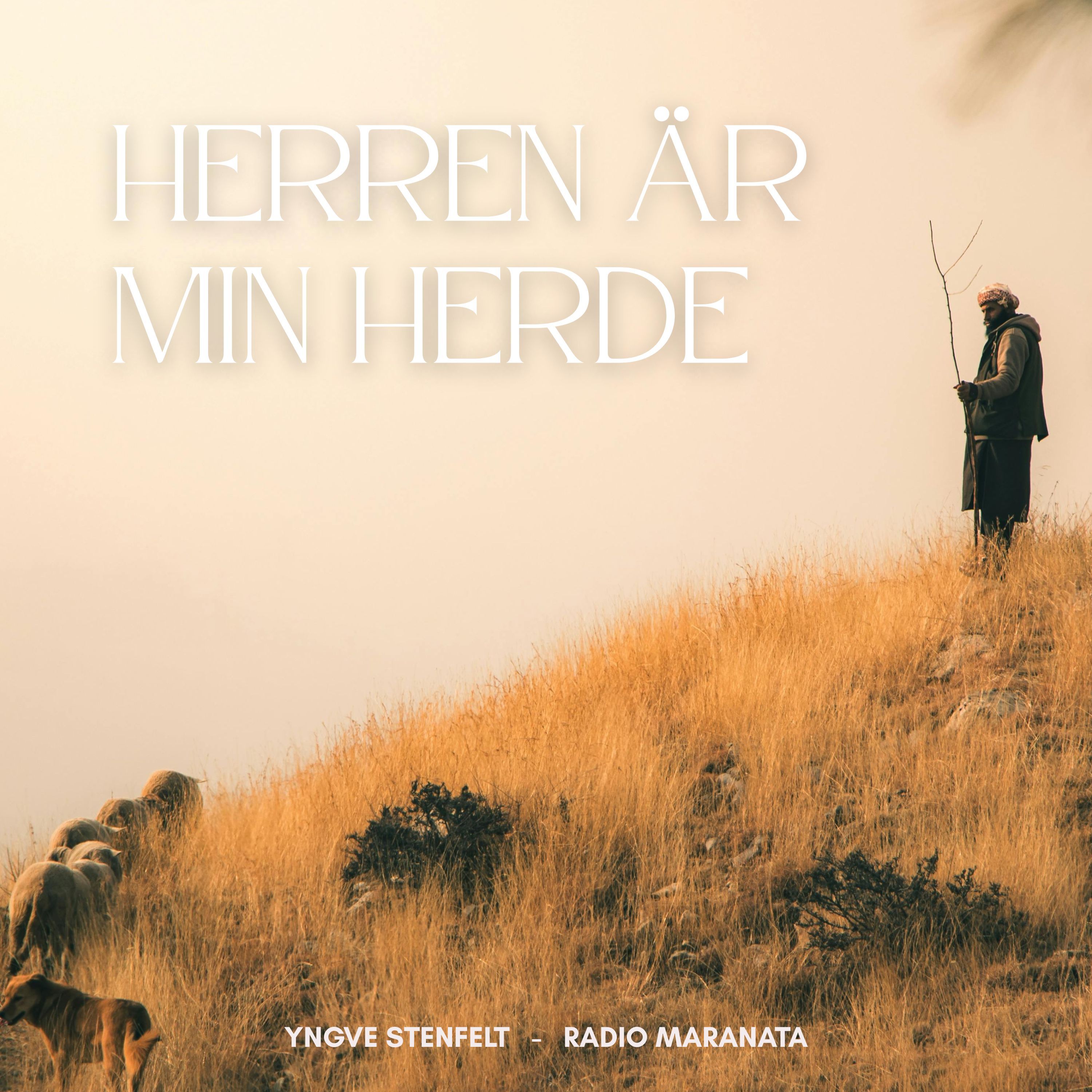 Herren är min herde | Yngve Stenfelt episode artwork