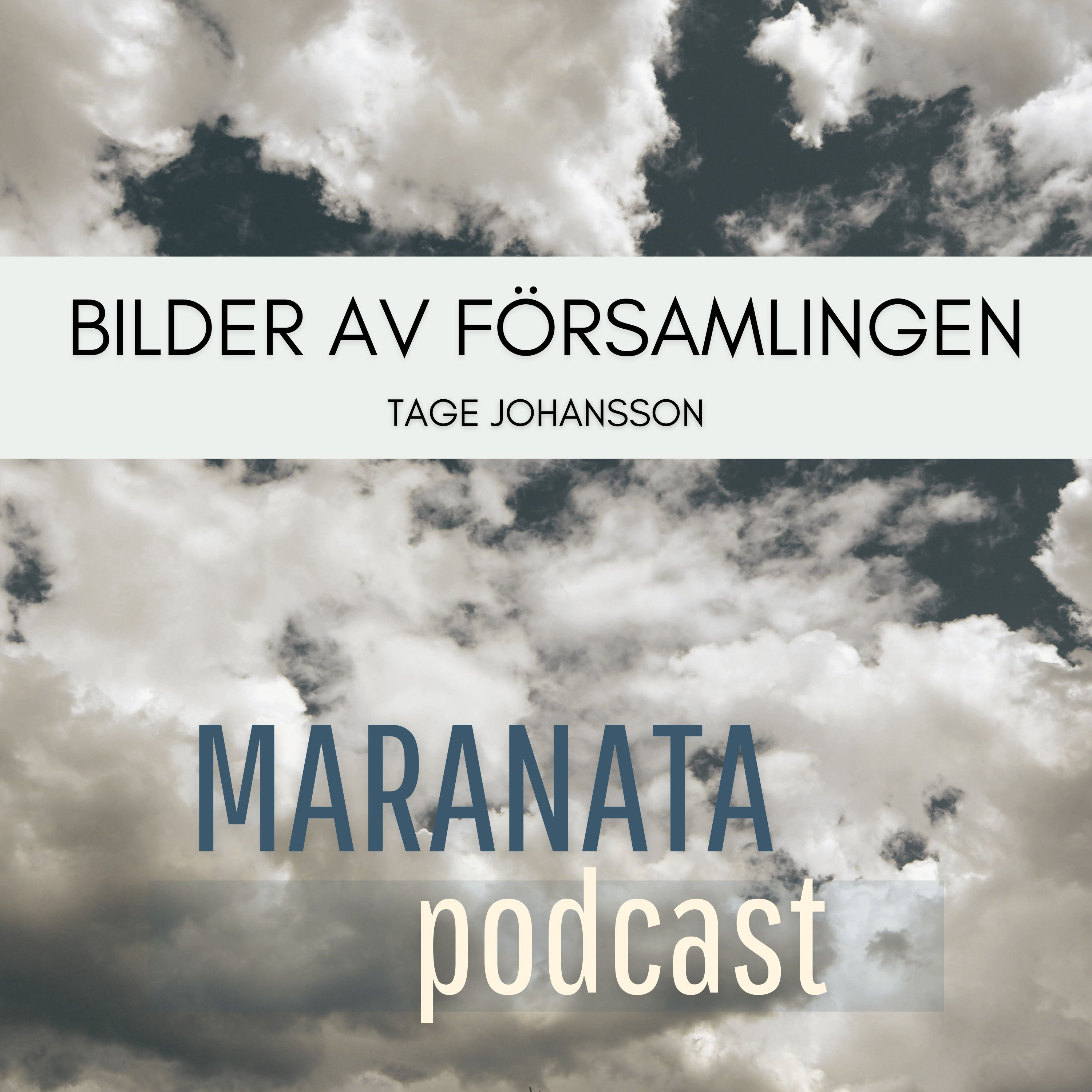 Bilder av församlingen | Tage Johansson episode artwork