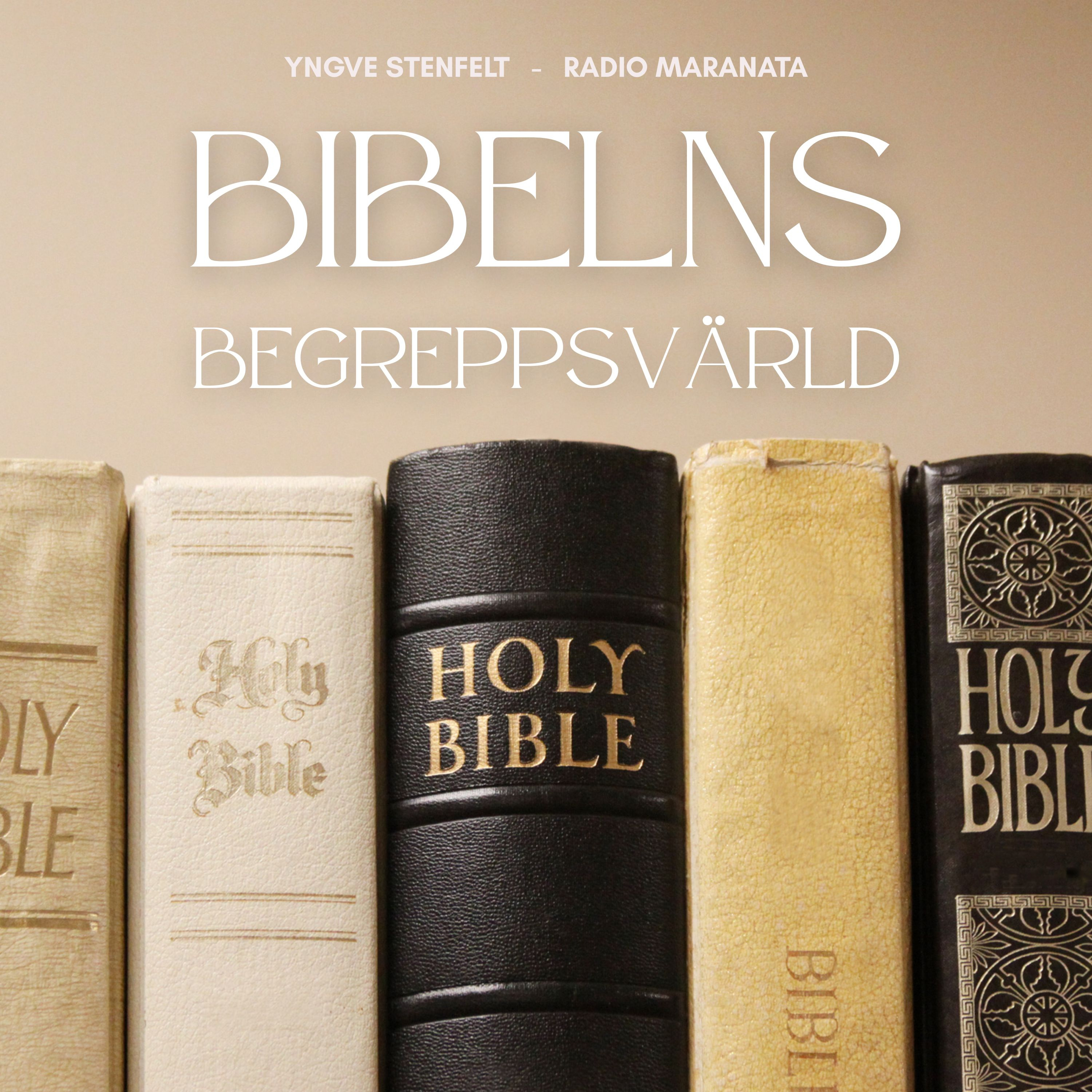 Bibelns begreppsvärld | Yngve Stenfelt episode artwork