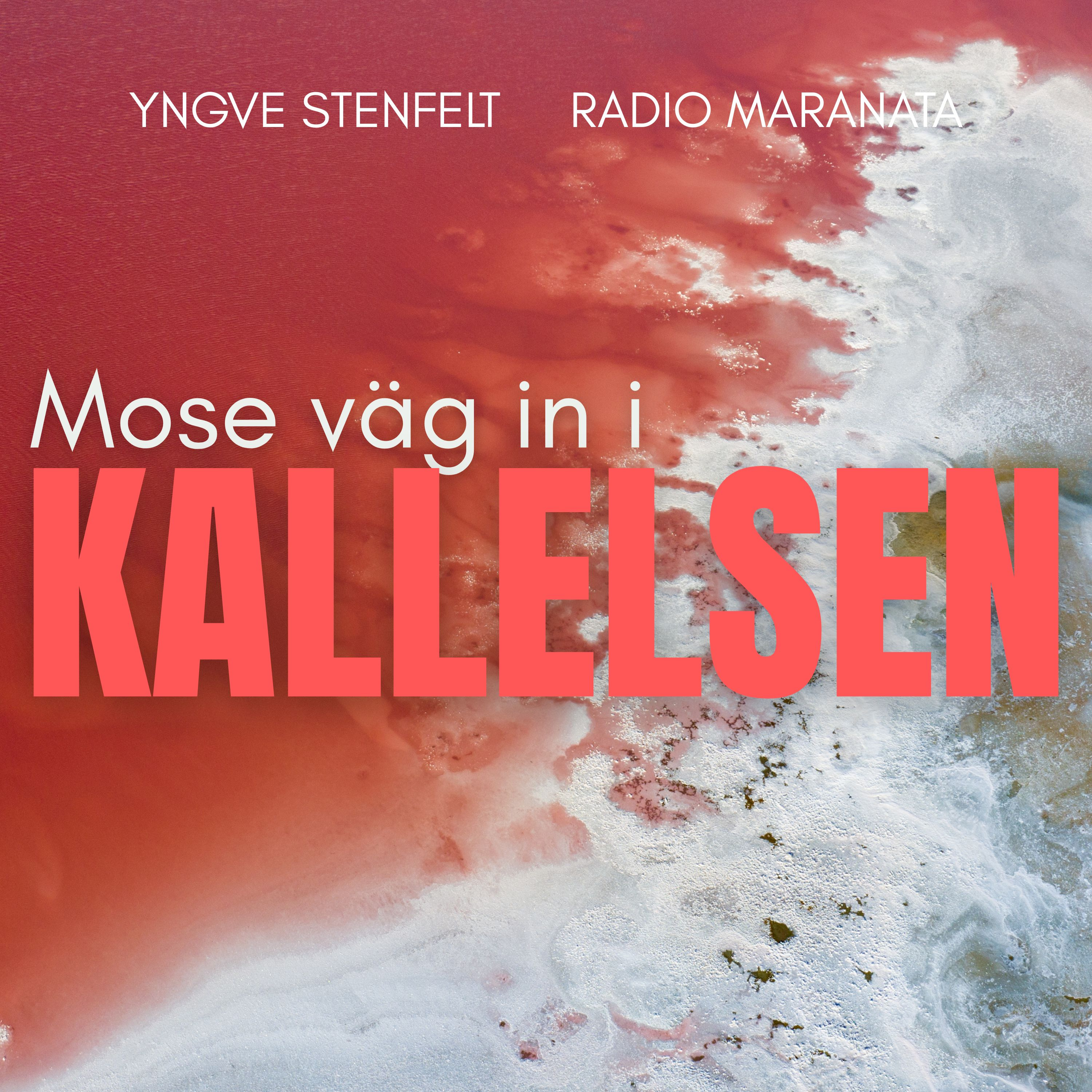 Mose väg in i kallelsen | Yngve Stenfelt episode artwork