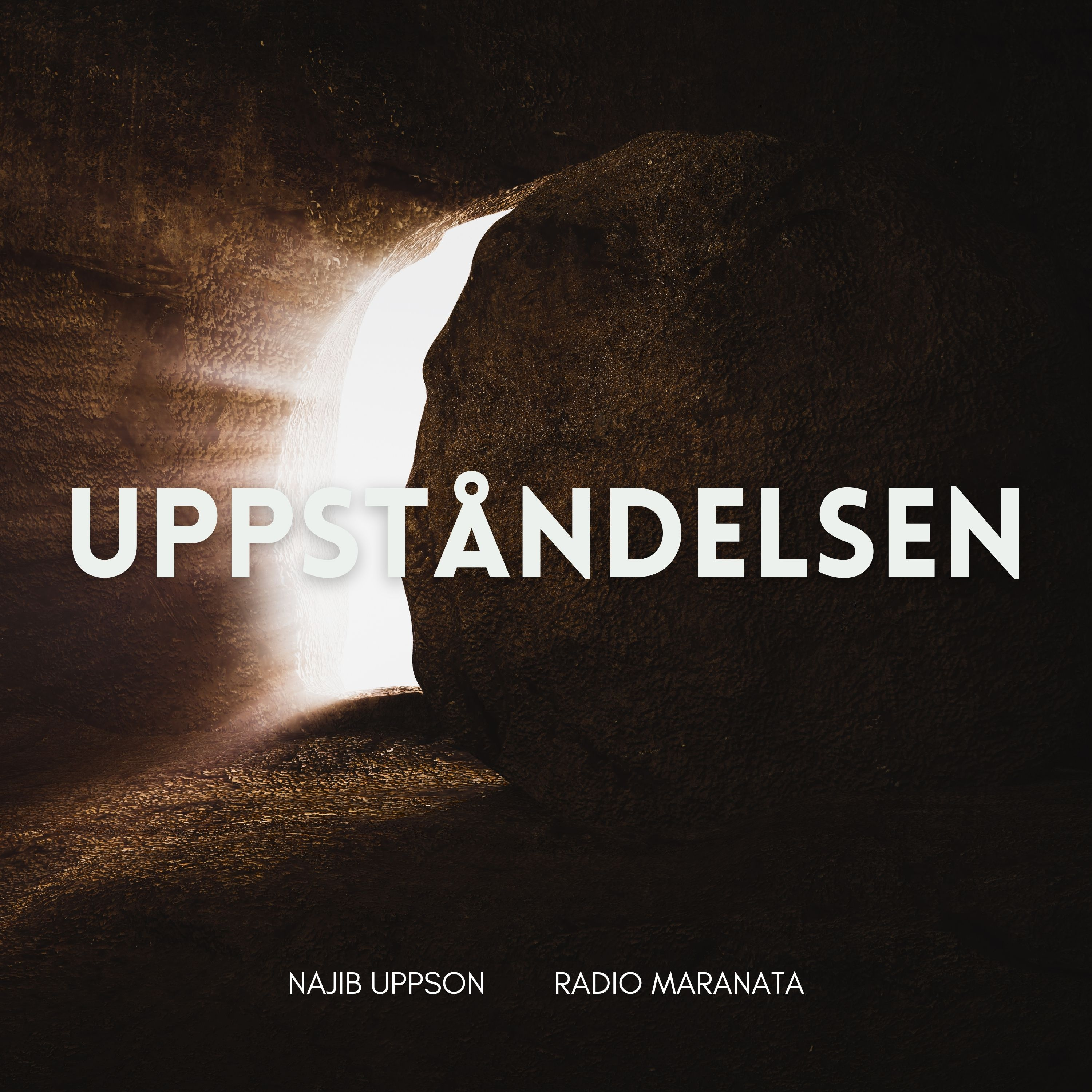 Uppståndelsen | Najib Uppson episode artwork