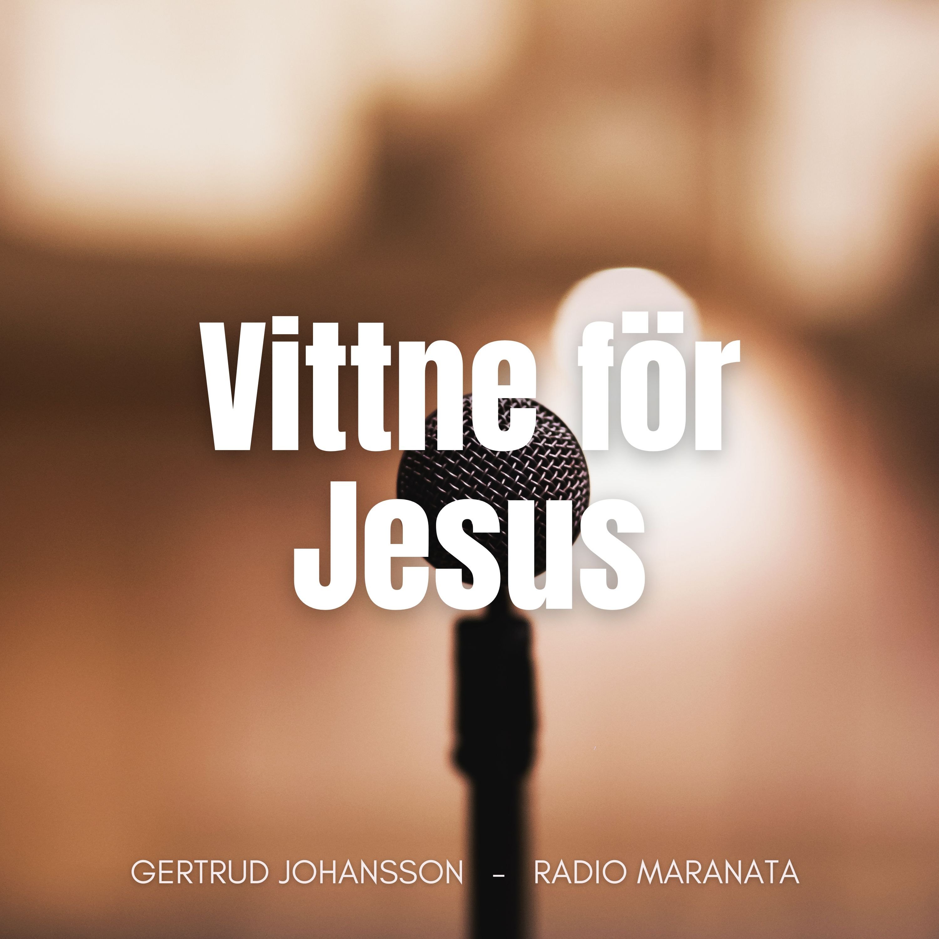 Att vara vittne för Jesus | Gertrud Johansson episode artwork