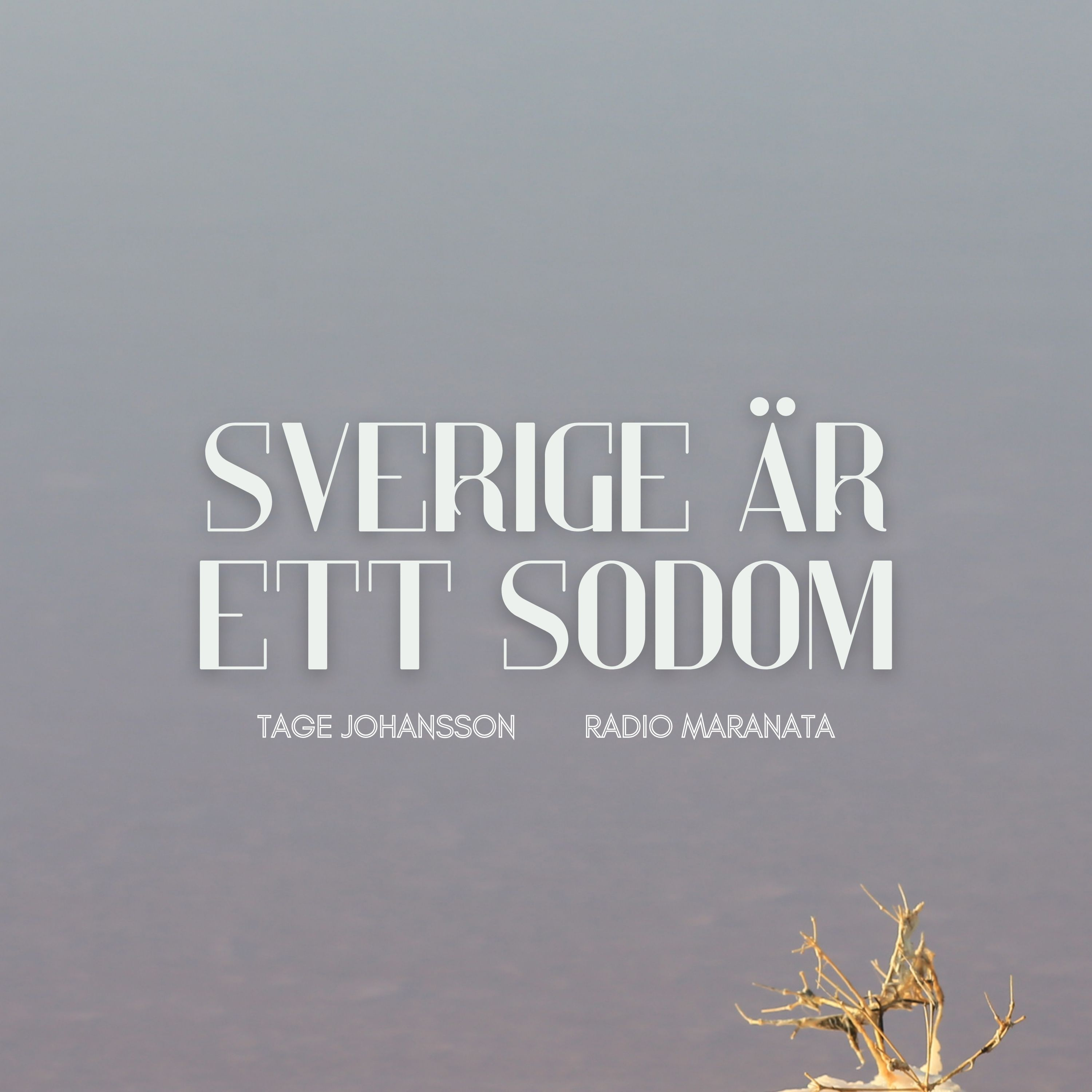 Sverige är ett Sodom | Tage Johansson episode artwork