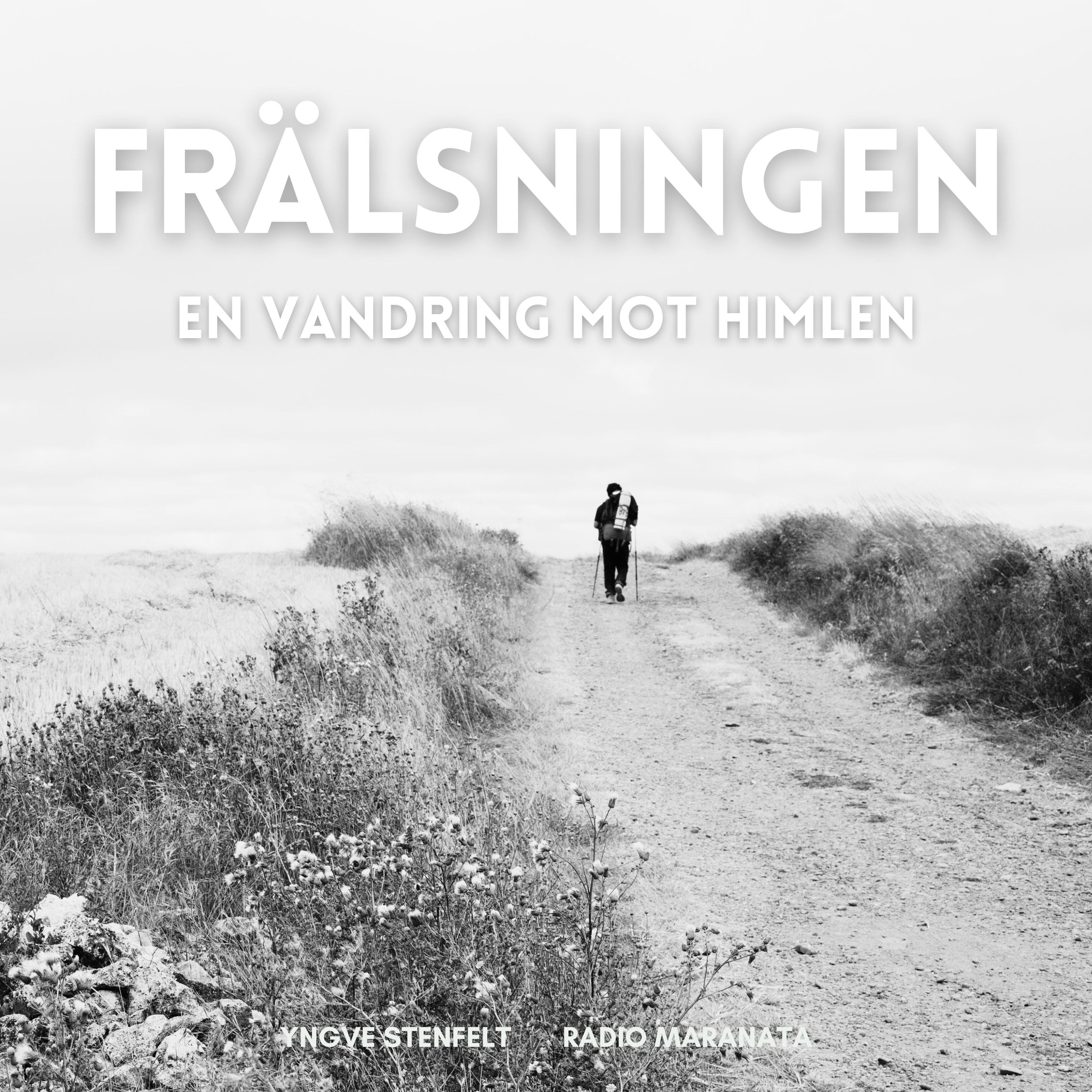 Frälsningen – en vandring mot himlen | Yngve Stenfelt episode artwork