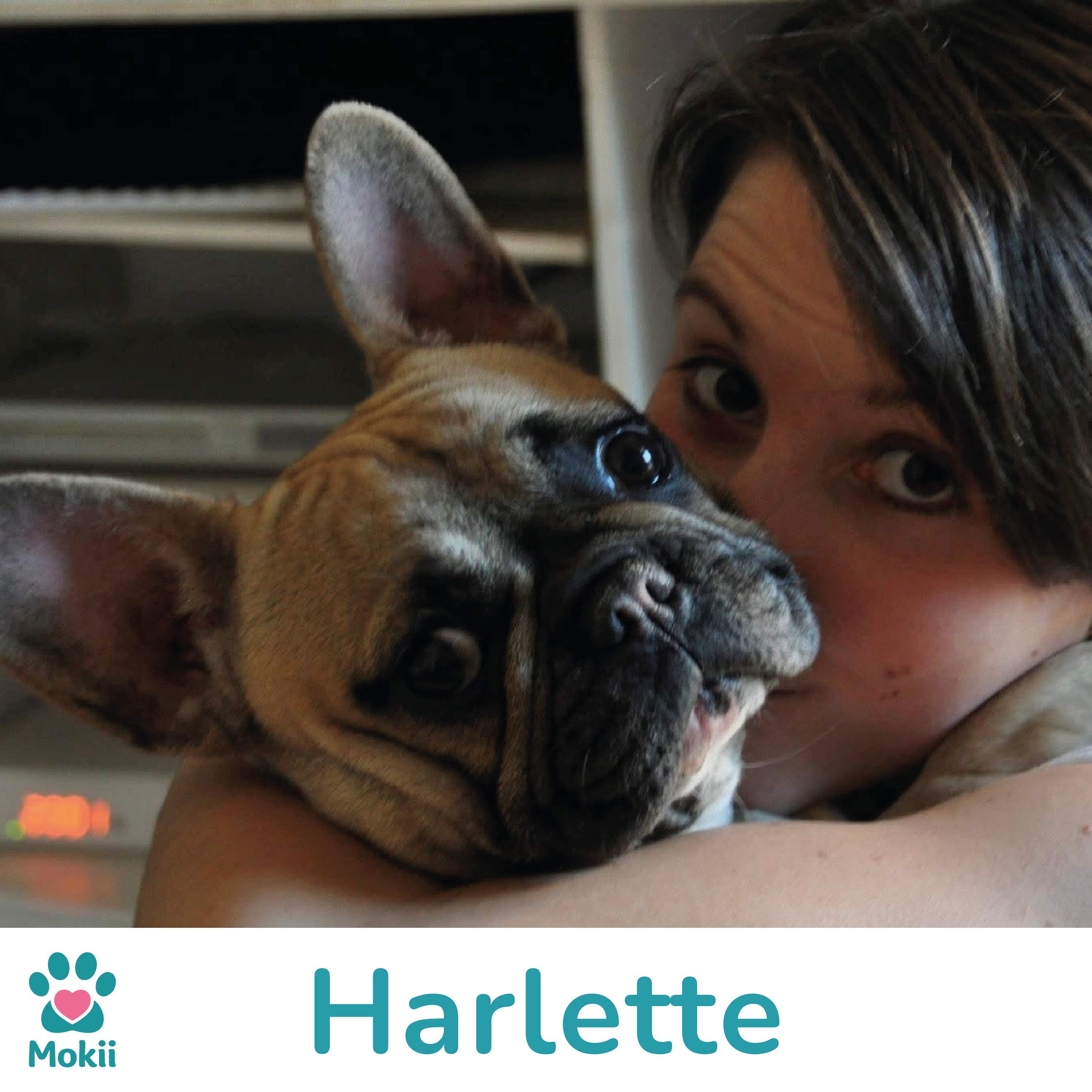 Harlette : l'enquête qui a permis de la retrouver episode artwork