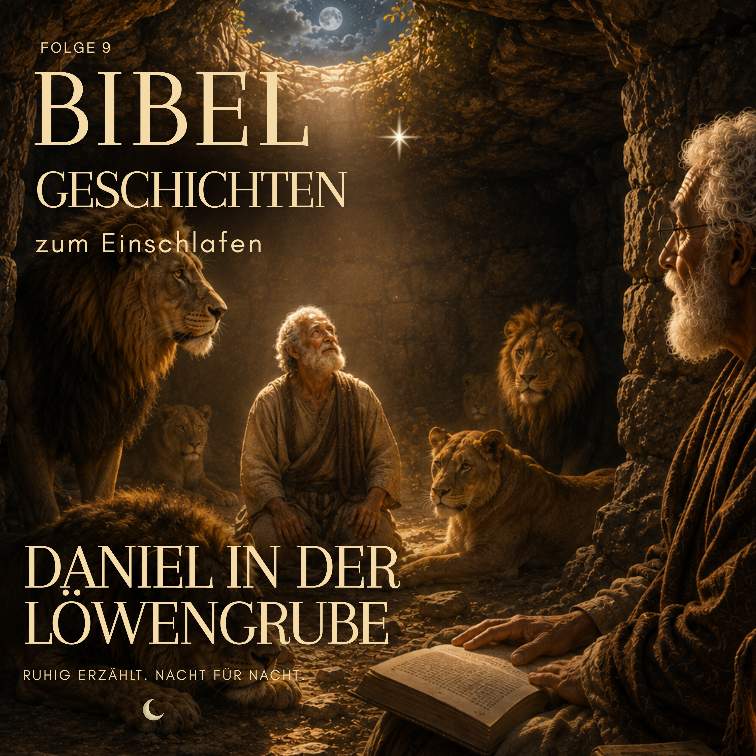 Artwork for Bibelgeschichten zum Einschlafen