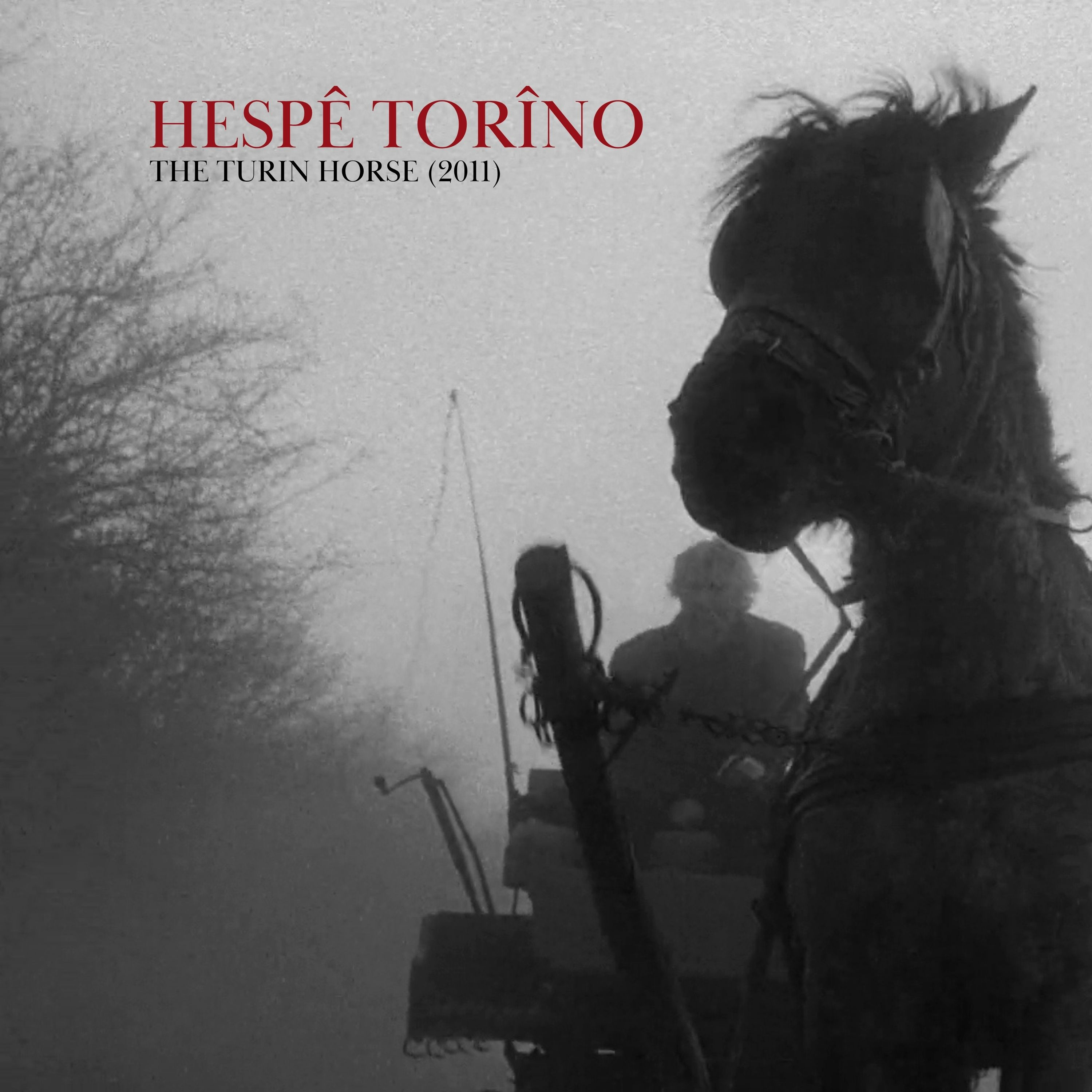 Hespê Torîno (2011) - #3