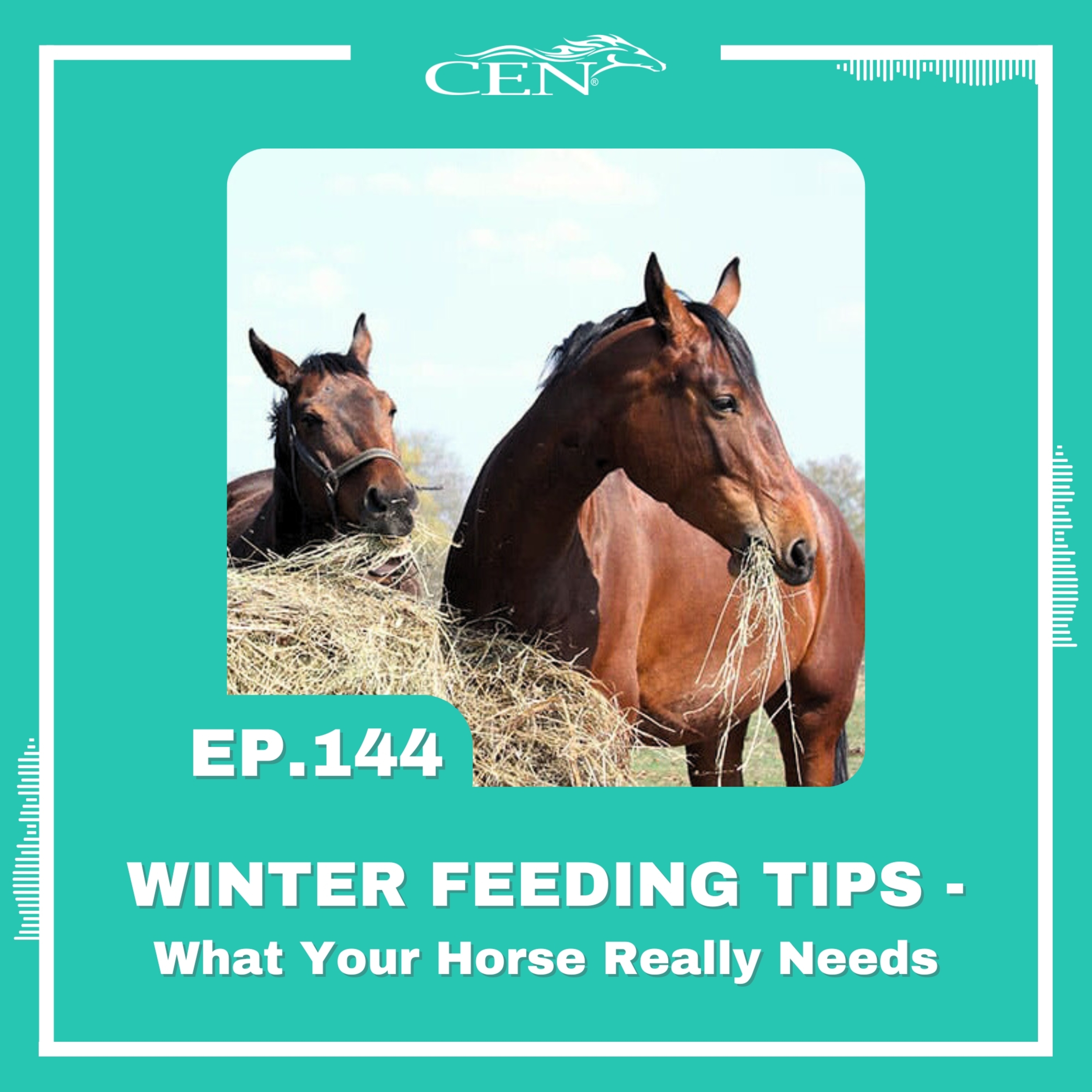 CEN Horse Nutrition