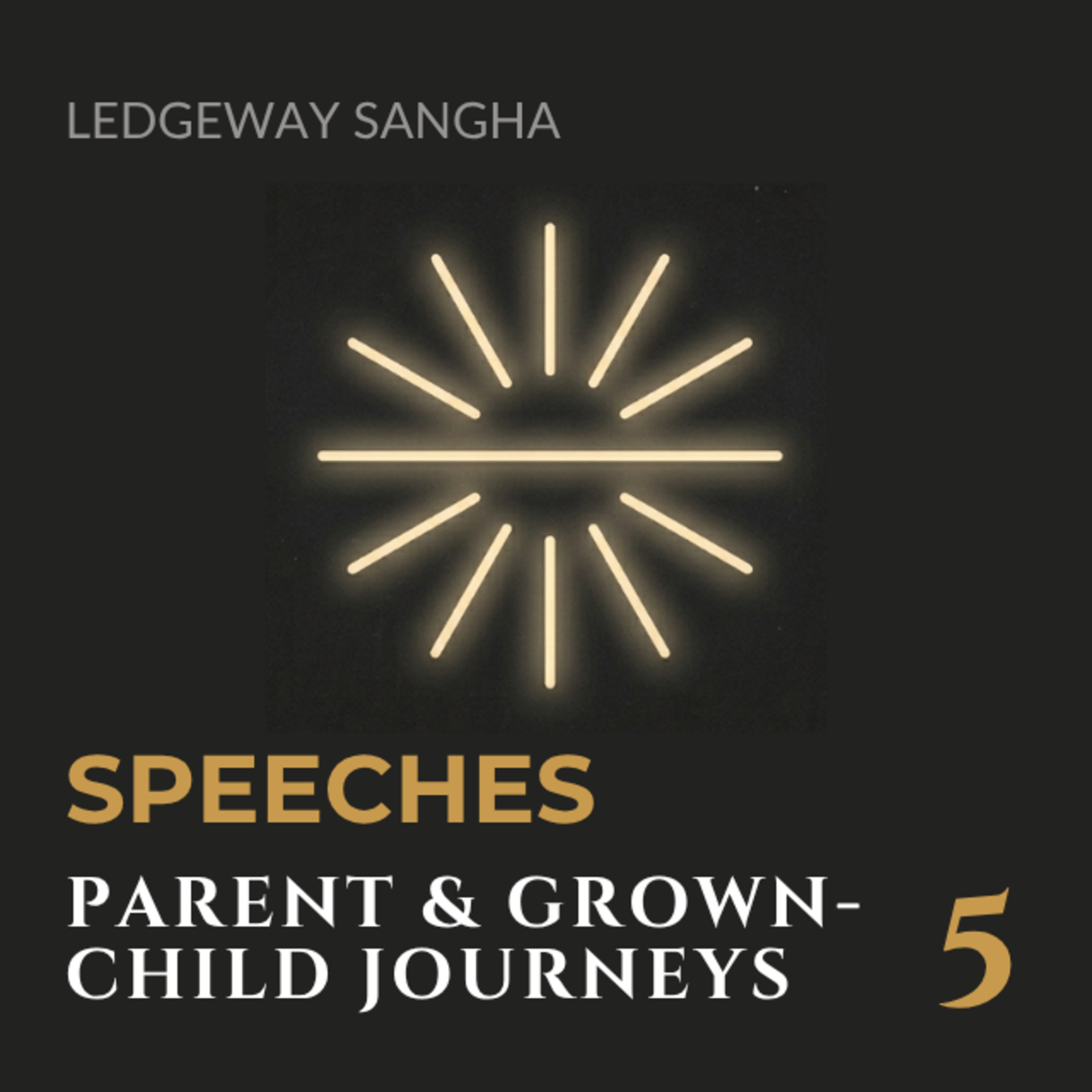 Beyond Enmeshment: The Power of Parent & Grown-Child Medicine Journeys episode artwork