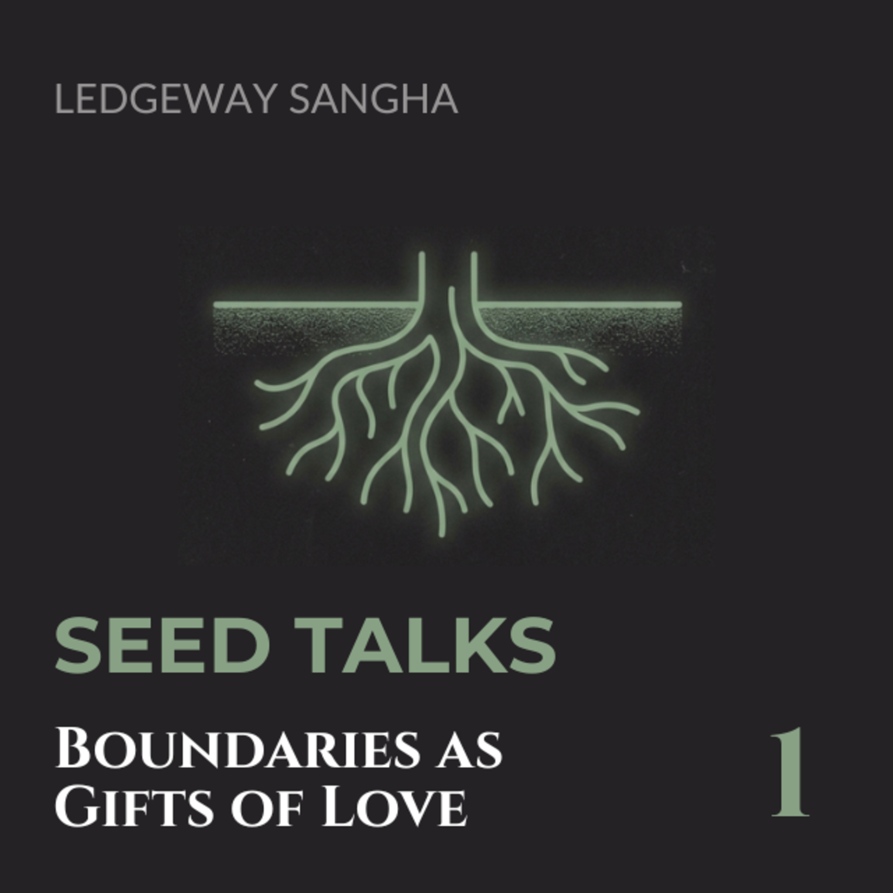 Seed Talk #1: Boundaries as Gifts of Love ~ December 22nd, 2024 episode artwork