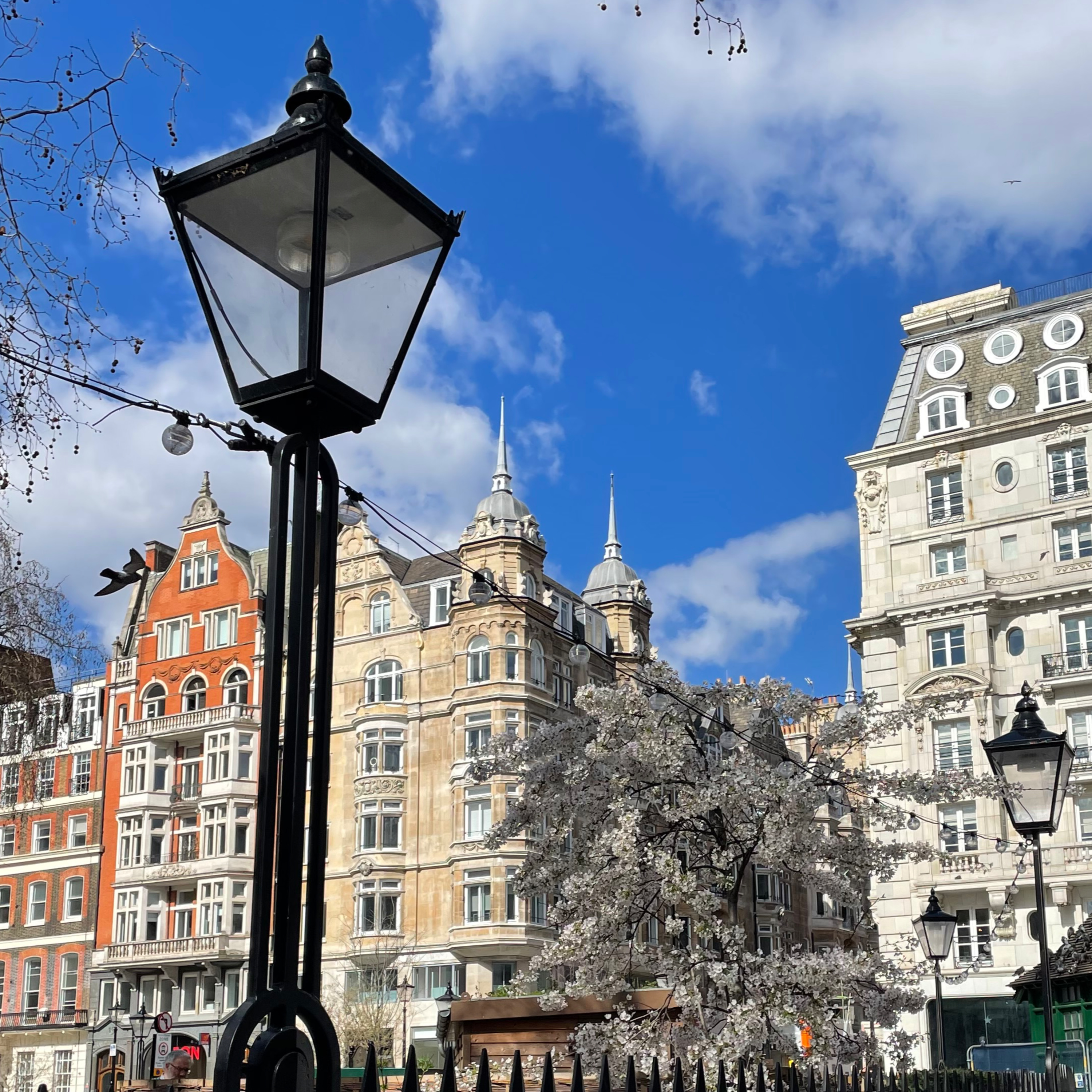 77.Mayfair: fantasmi, rockstar e segreti nel quartiere più ricco di Londra episode artwork