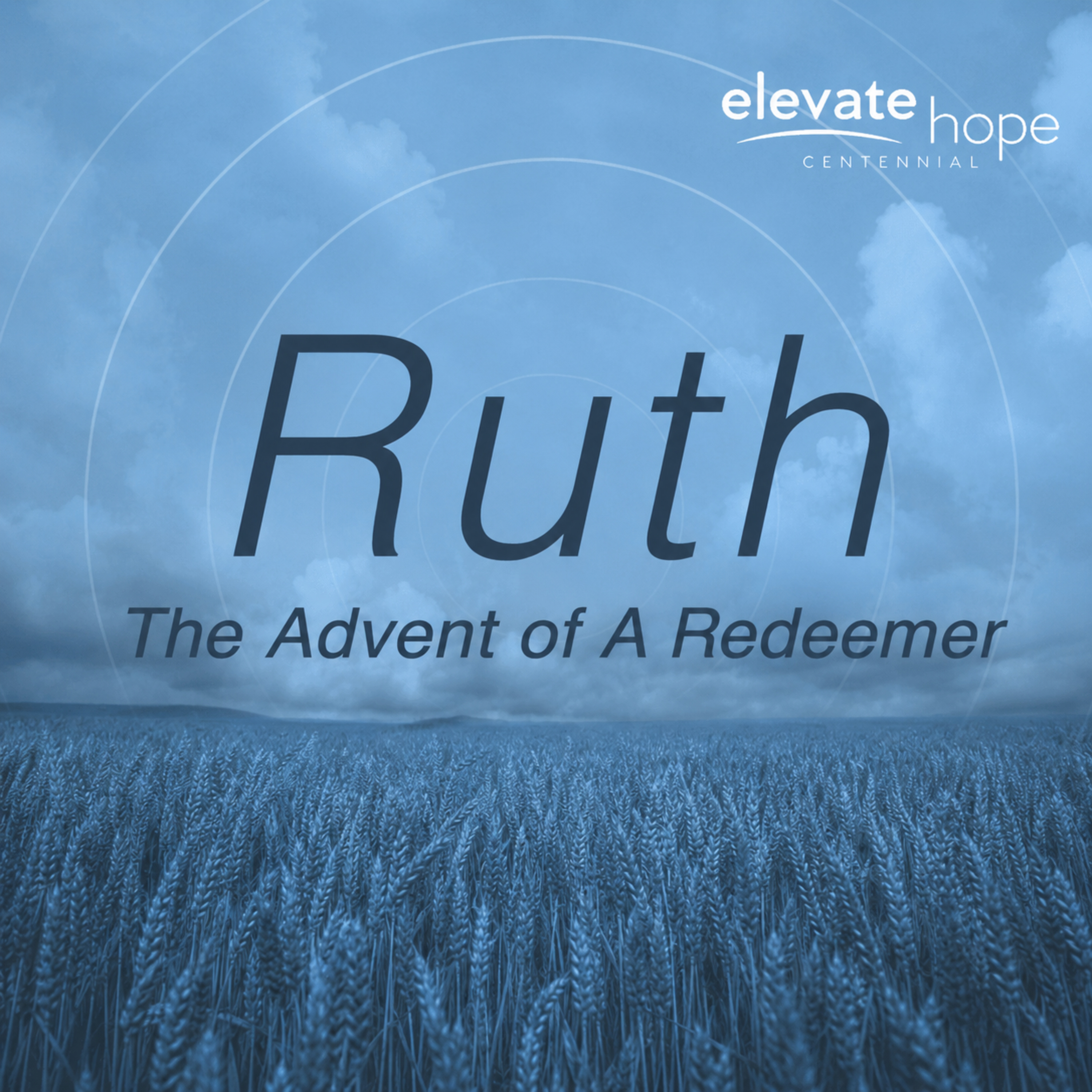 Ruth: The Advent of A Redeemer - Ruth 2 episode artwork