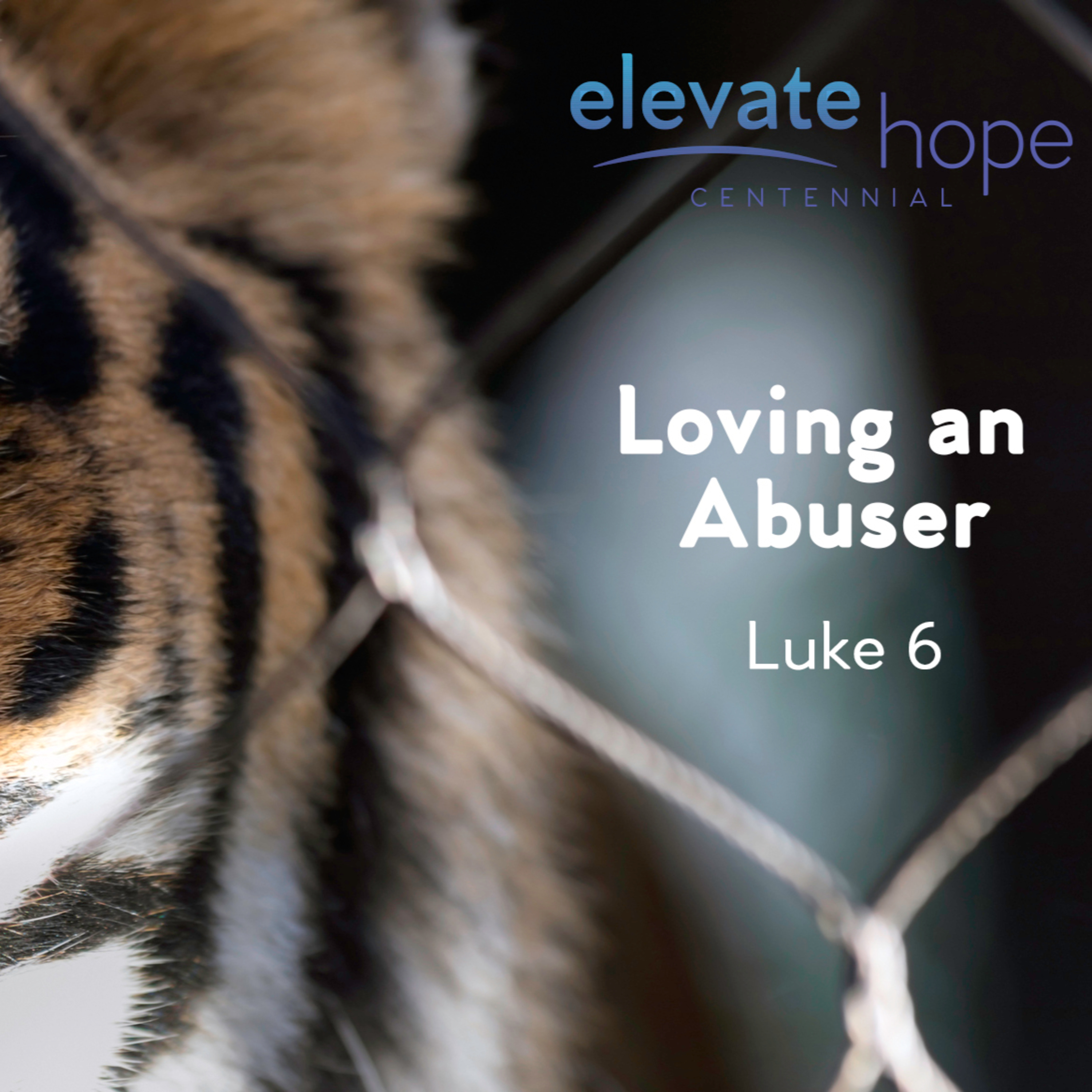 Loving An Abuser - Luke 6 episode artwork