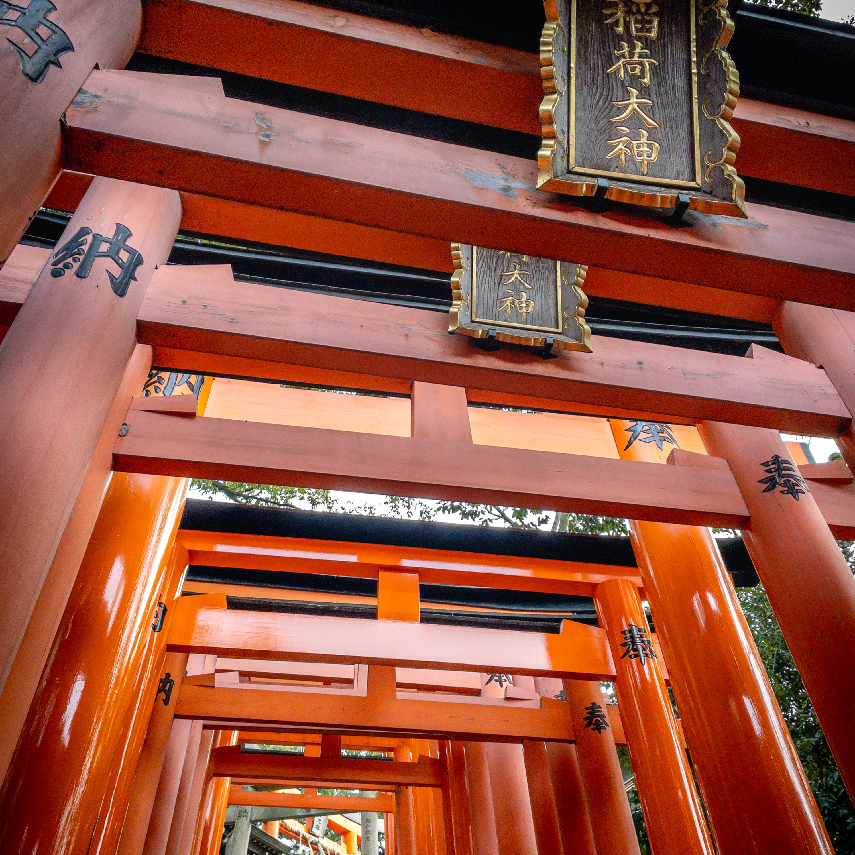 Kyoto Tour Guides with Laura & Javier