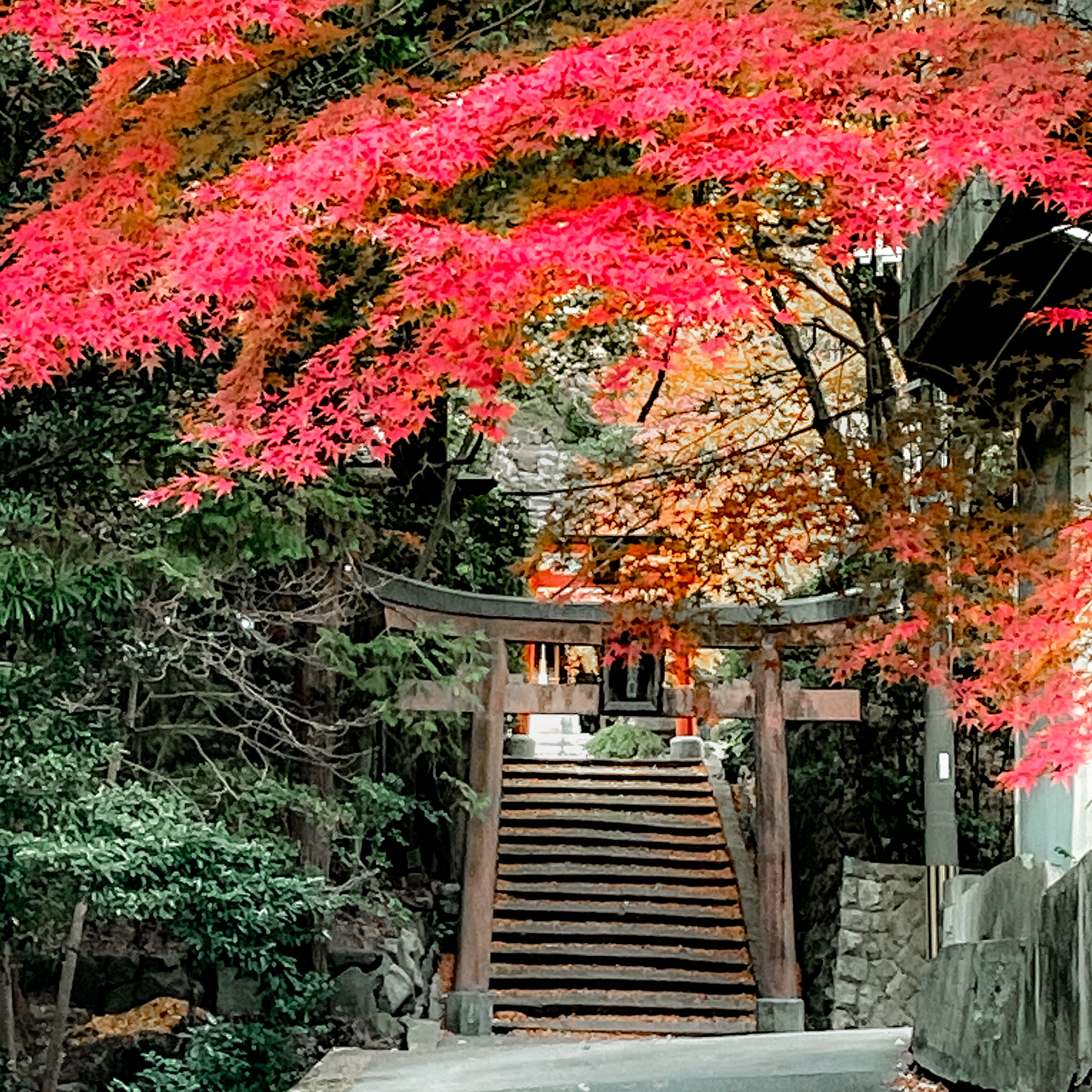 “Hidden Gems” in Japan?